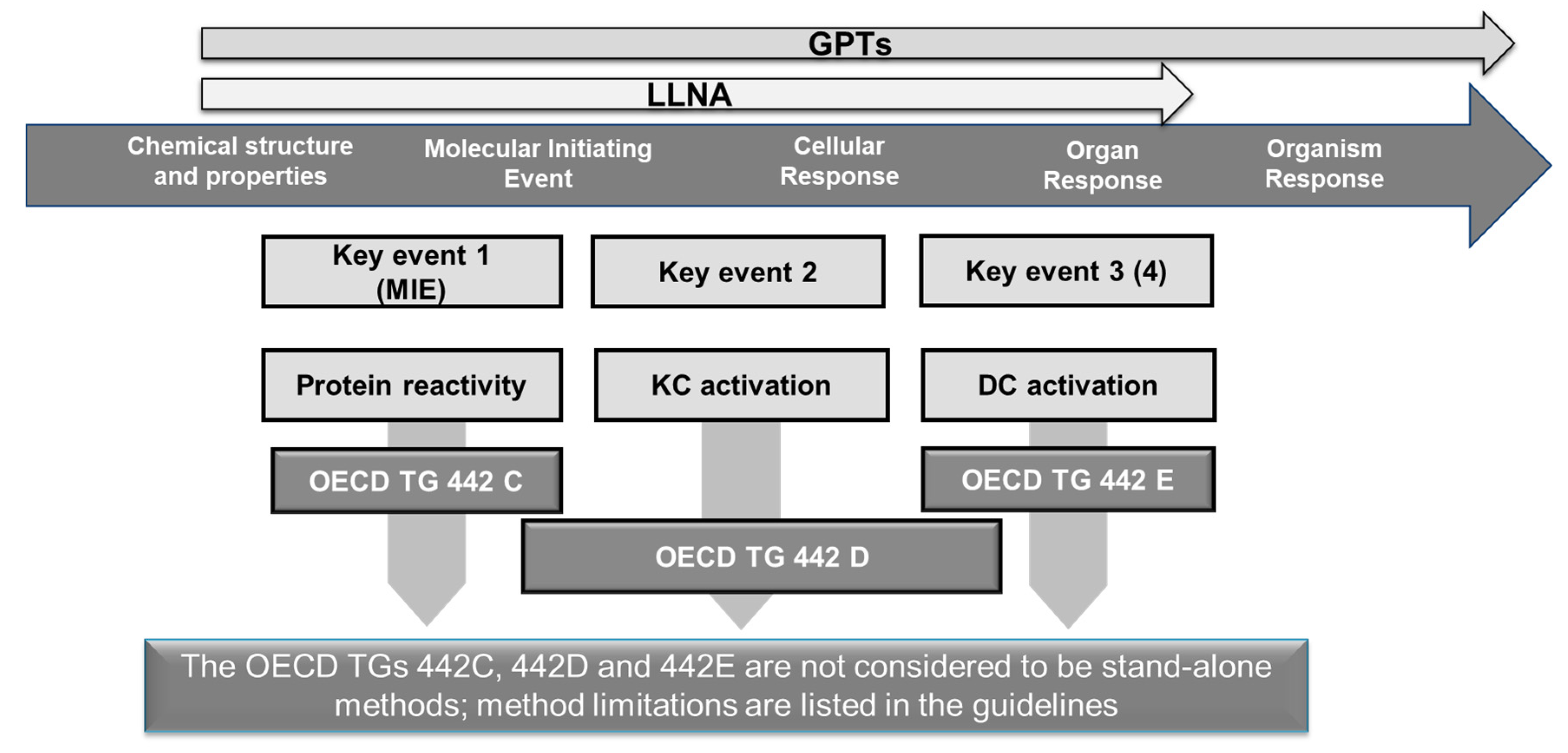 Cosmetics 09 00022 g002