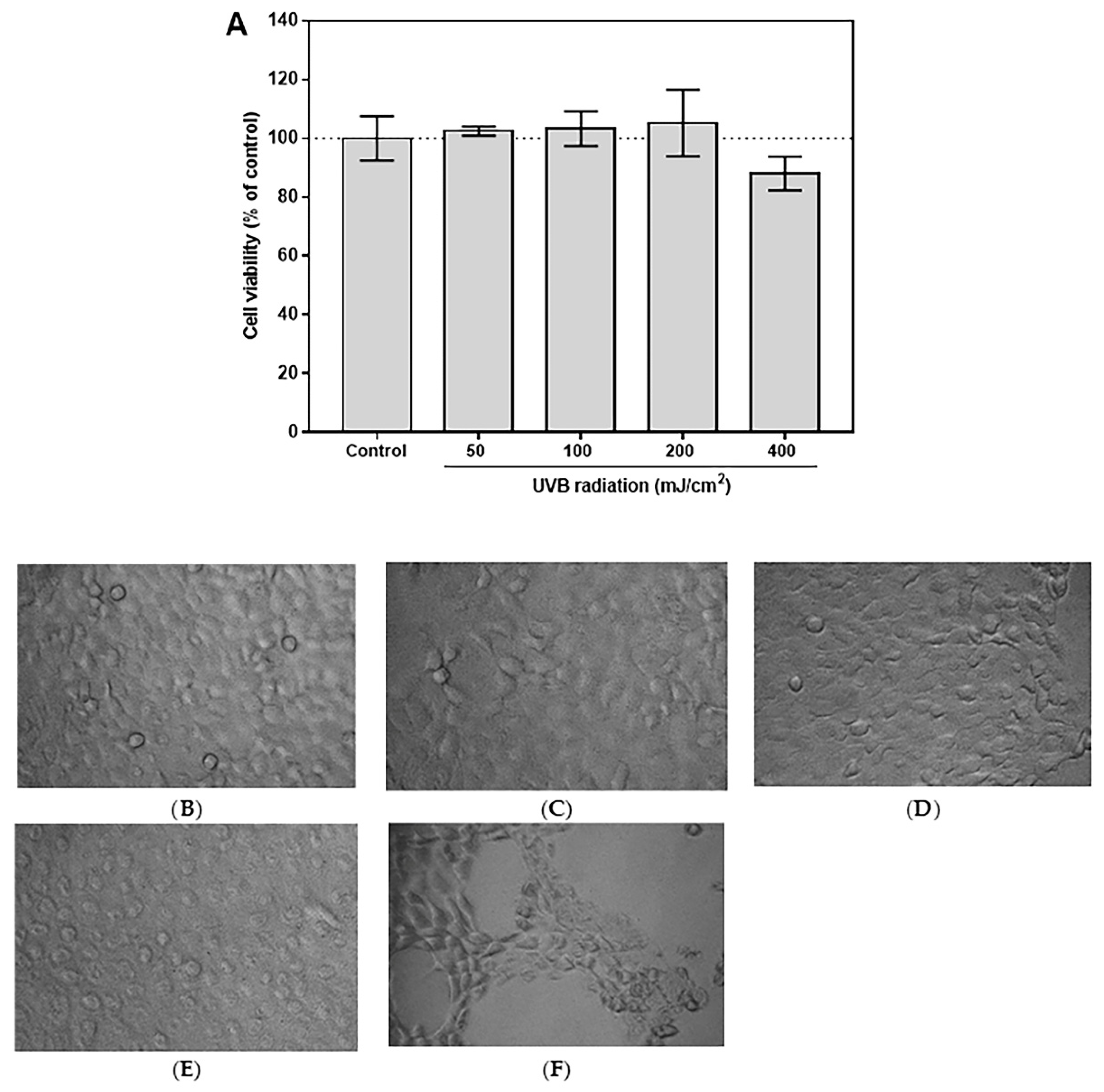 Cosmetics 09 00023 g005 Cosmetics 09 00023 g005