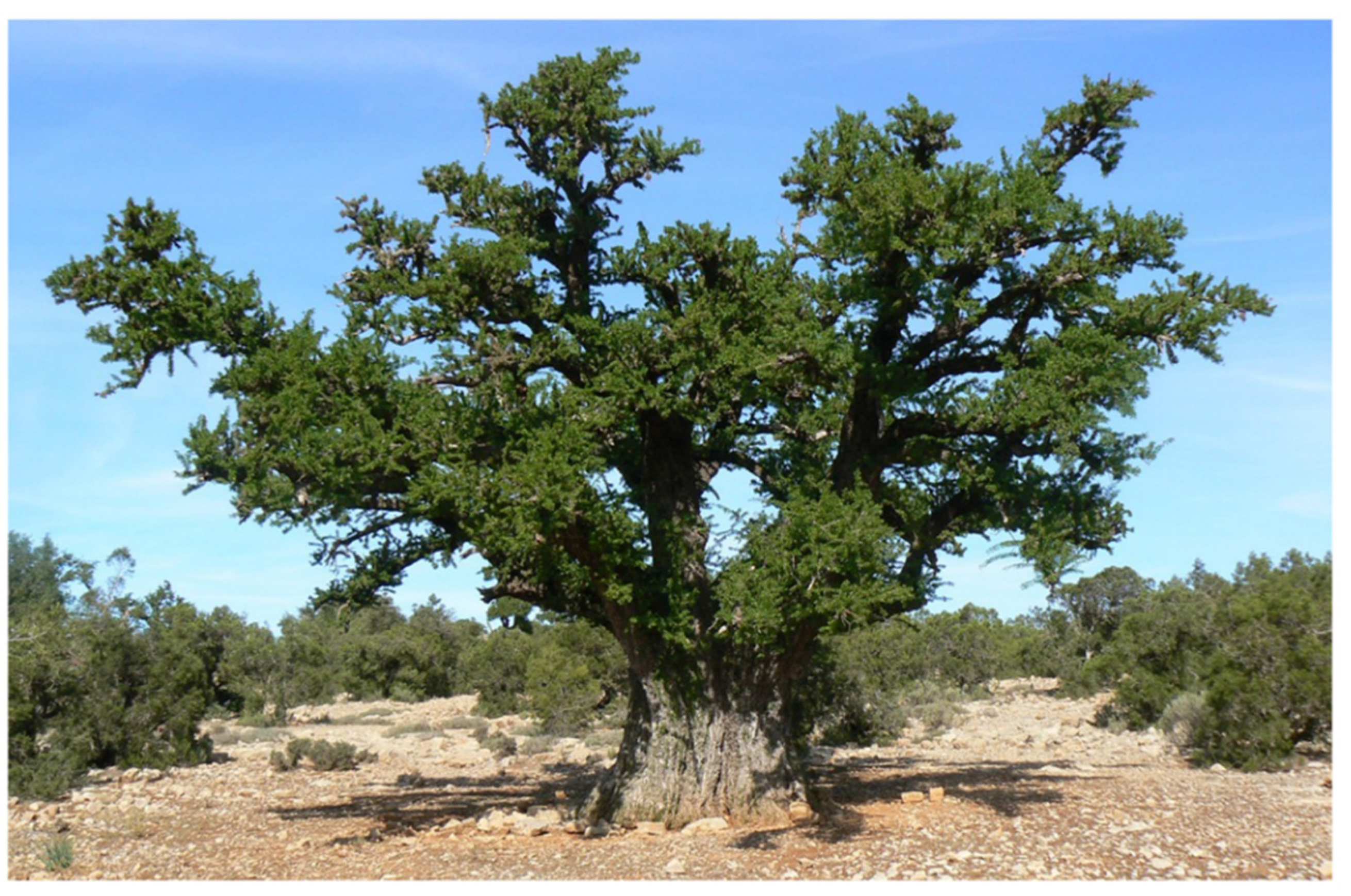 Cosmetics 09 00024 g001 550