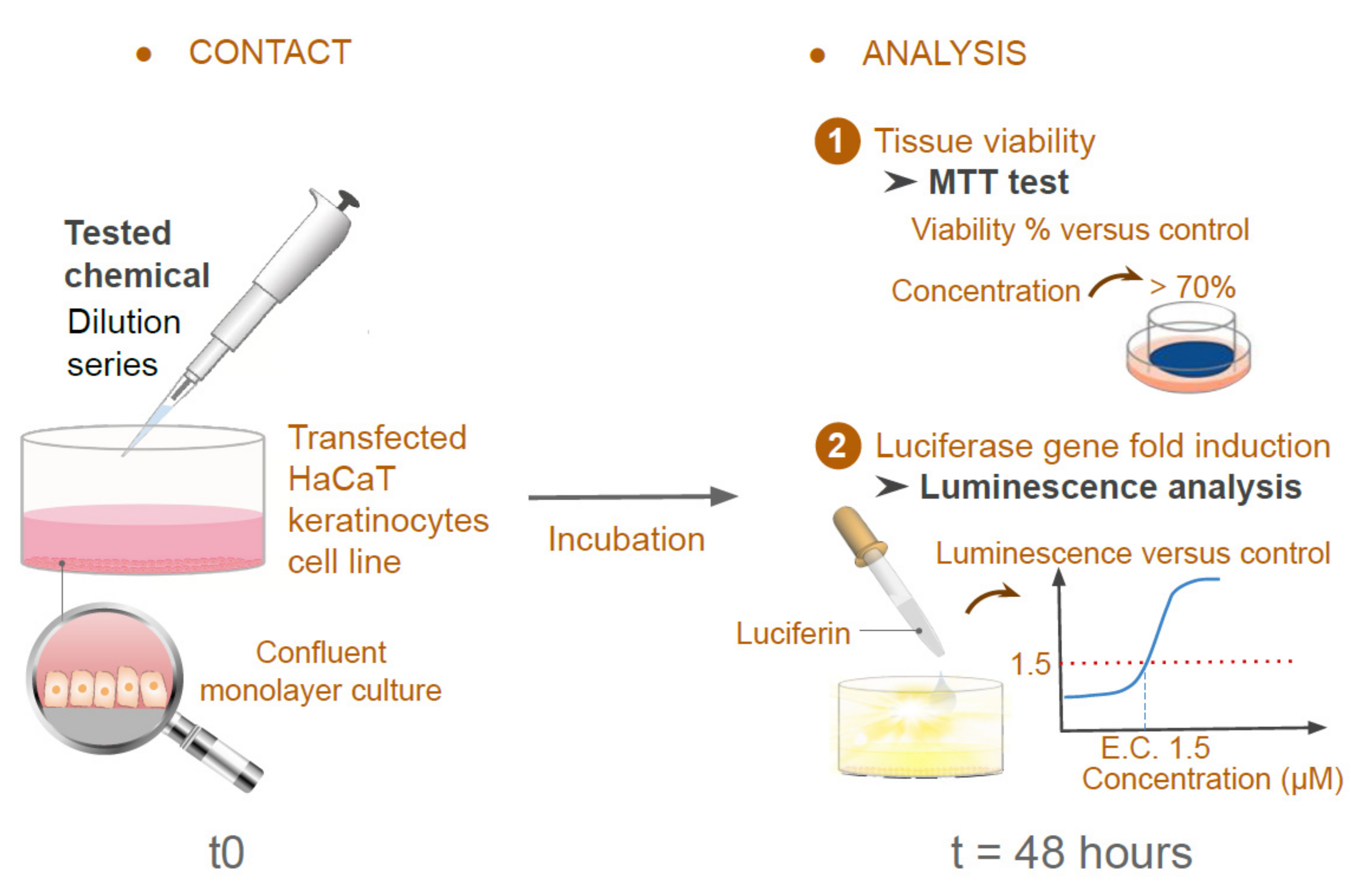 Cosmetics 09 00040 g002 550