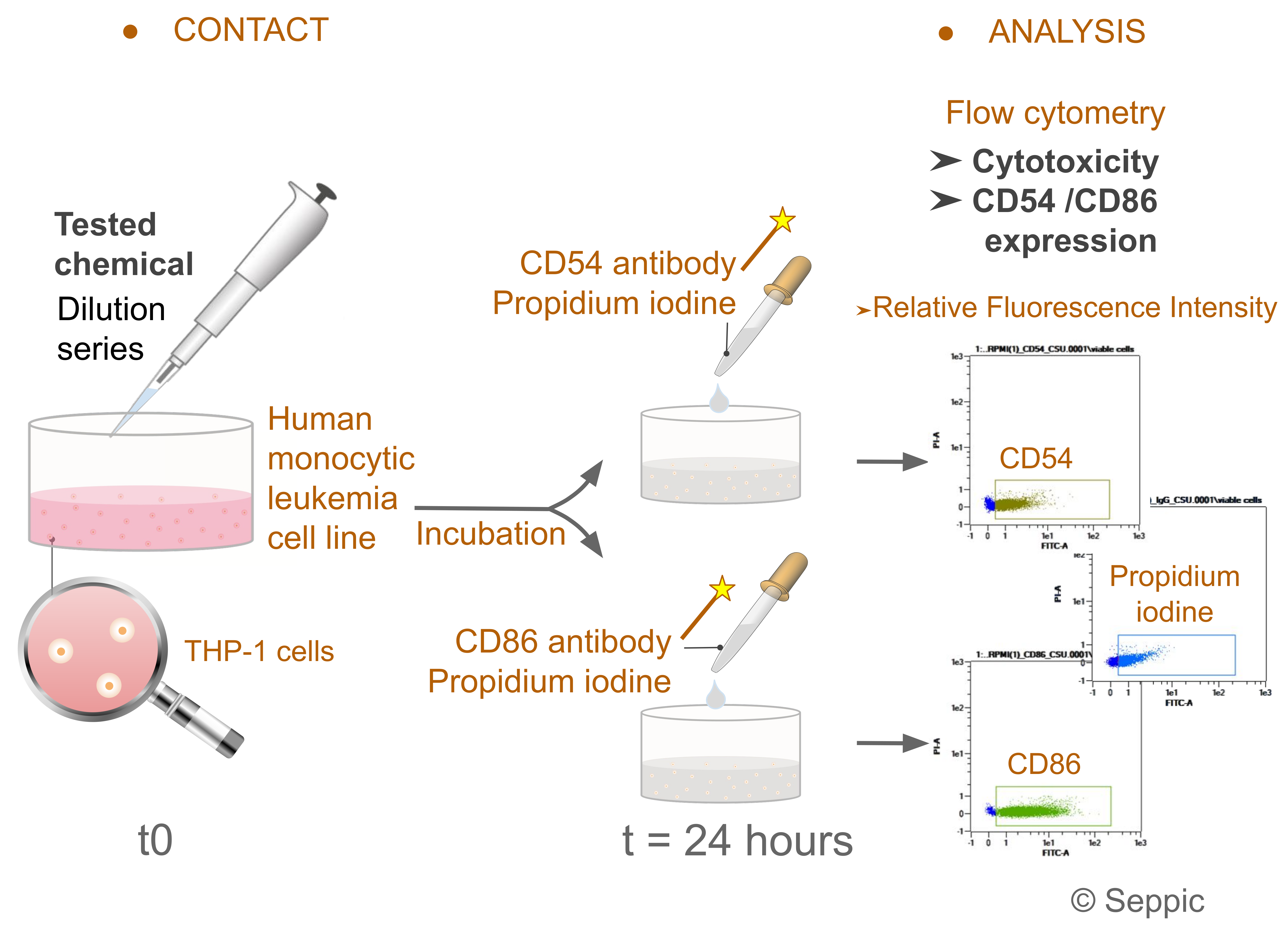 Cosmetics 09 00040 g003 550