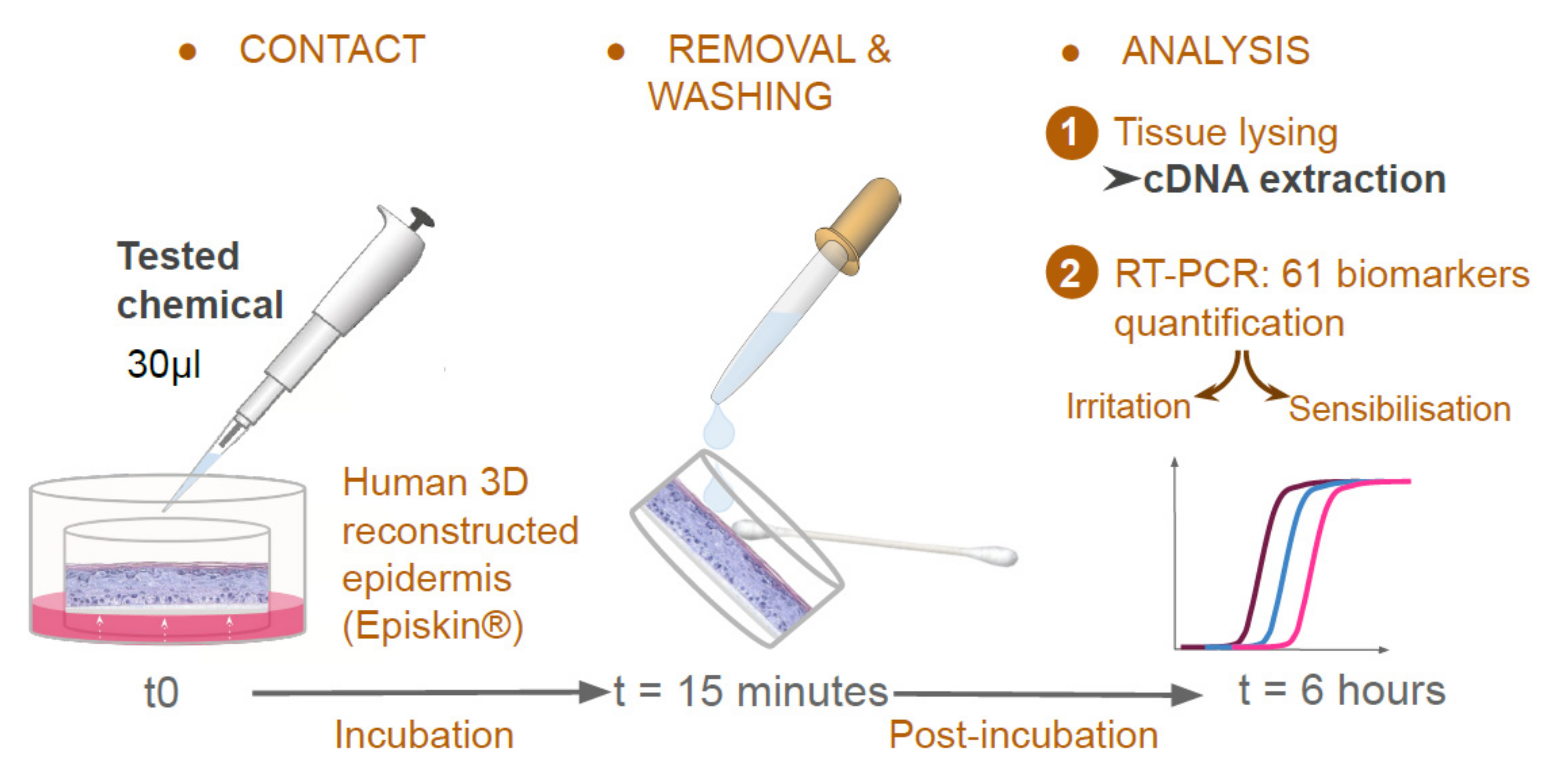 Cosmetics 09 00040 g004 550