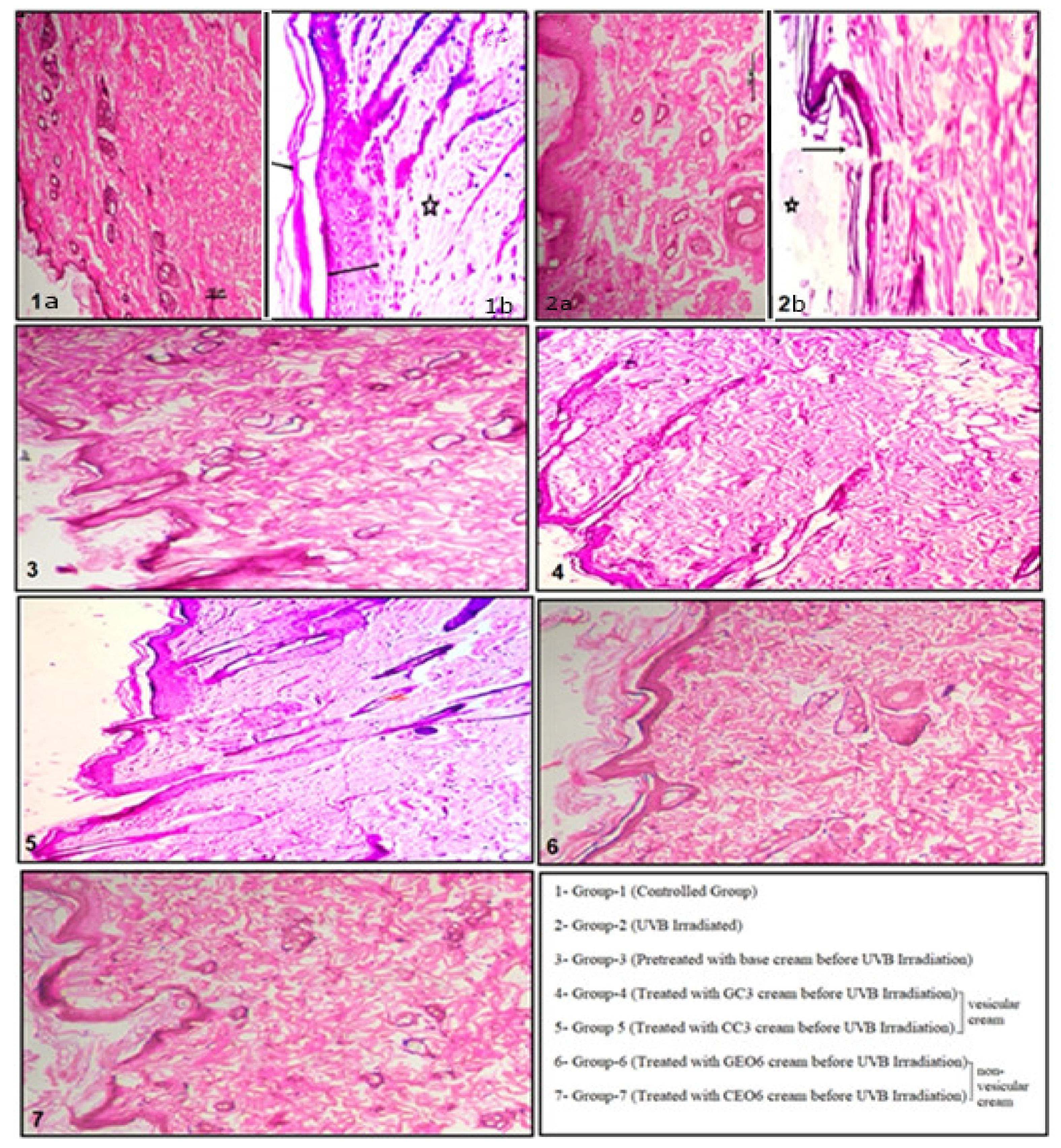 Cosmetics 09 00043 g001