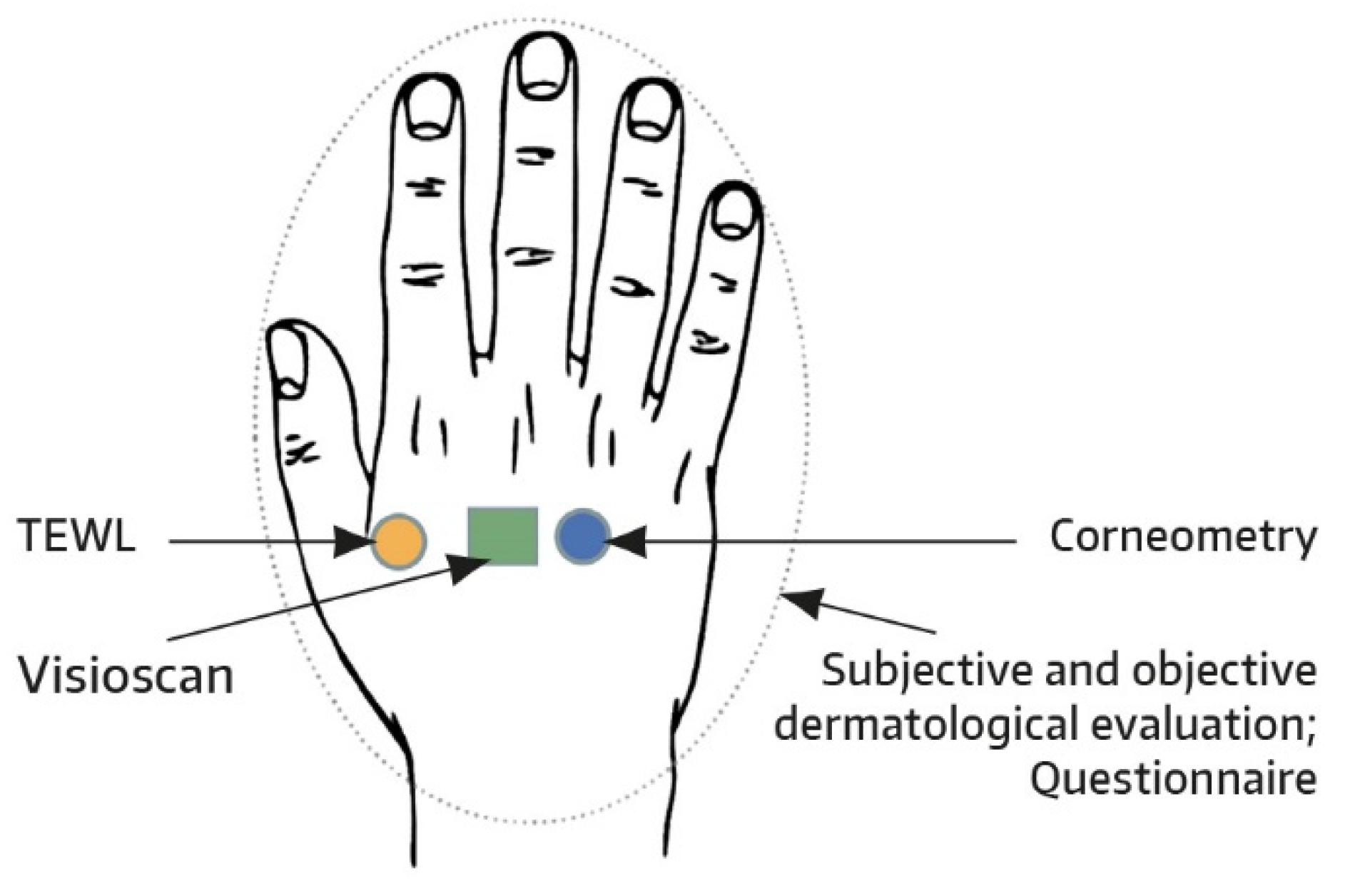 Cosmetics 09 00044 g001