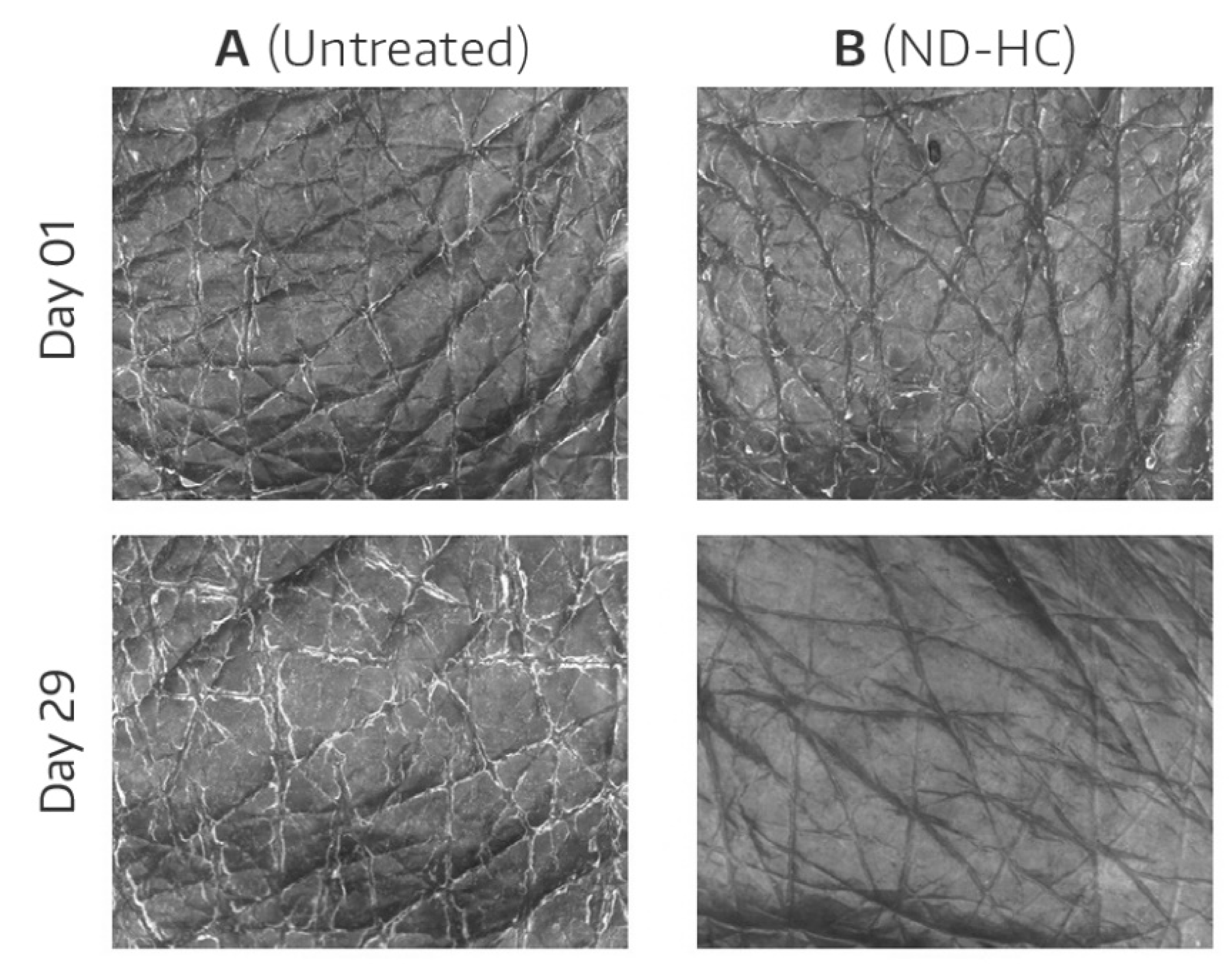 Cosmetics 09 00044 g002