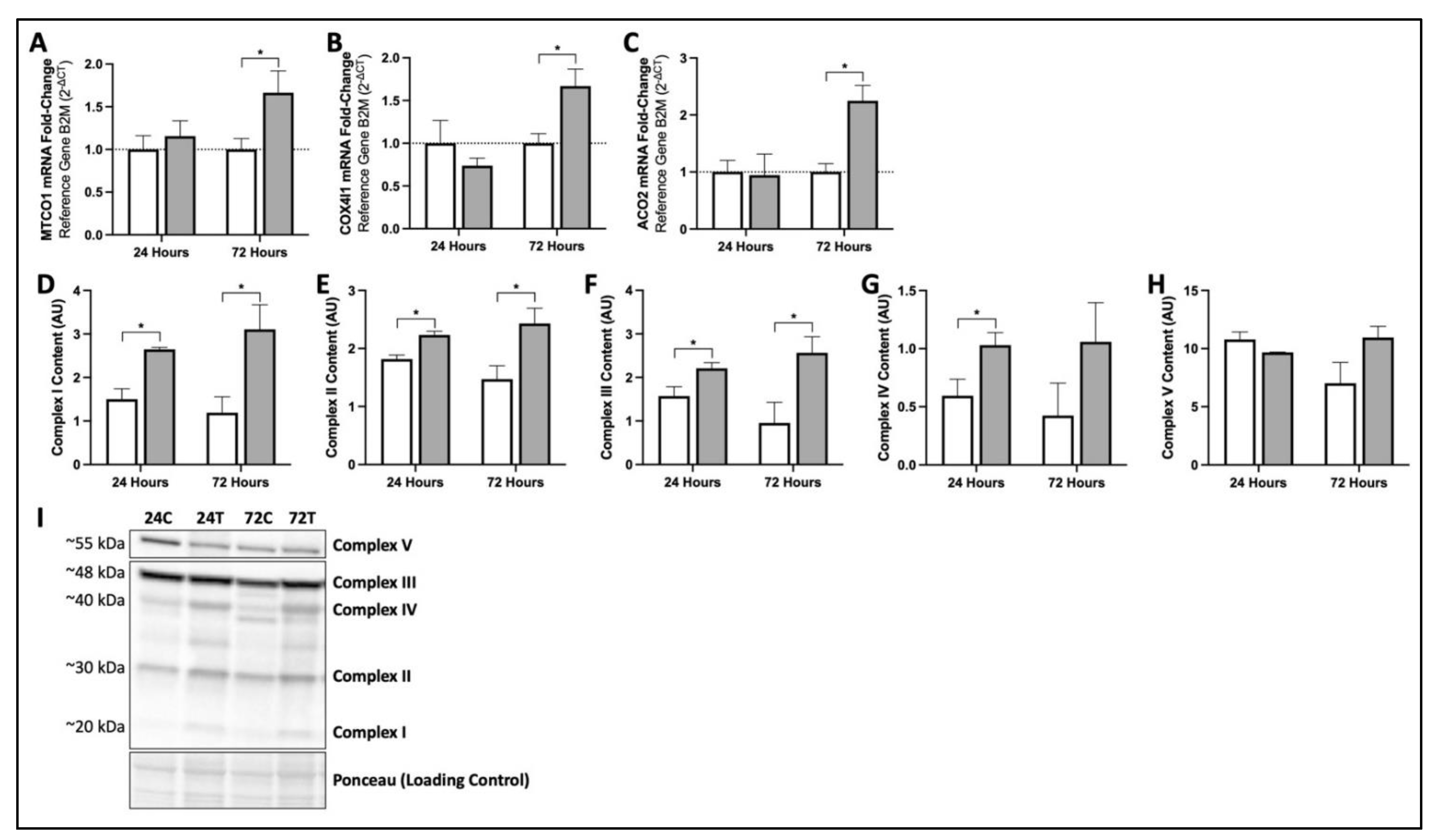 Cosmetics 09 00047 g002 Cosmetics 09 00047 g002