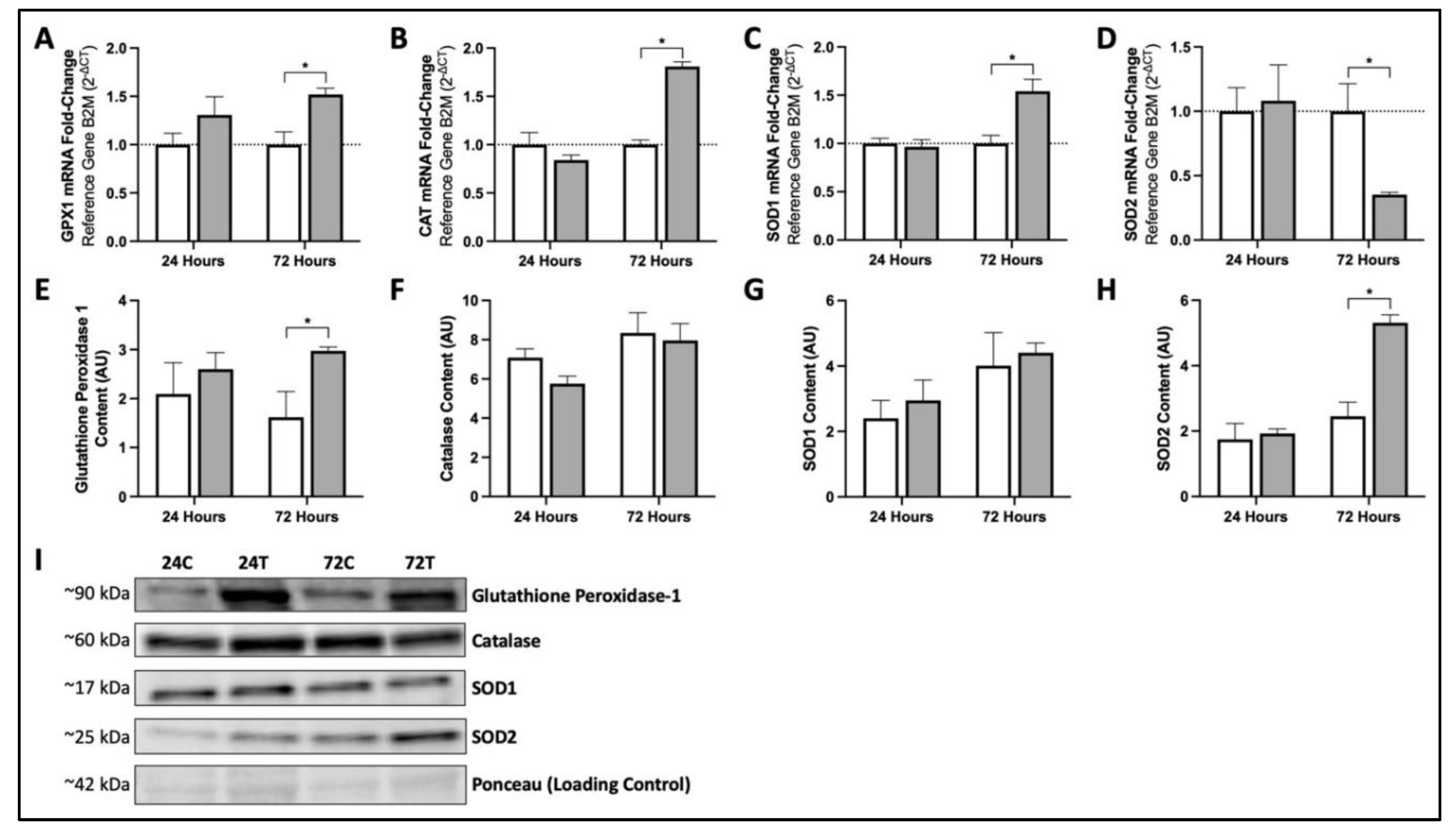 Cosmetics 09 00047 g003 Cosmetics 09 00047 g003