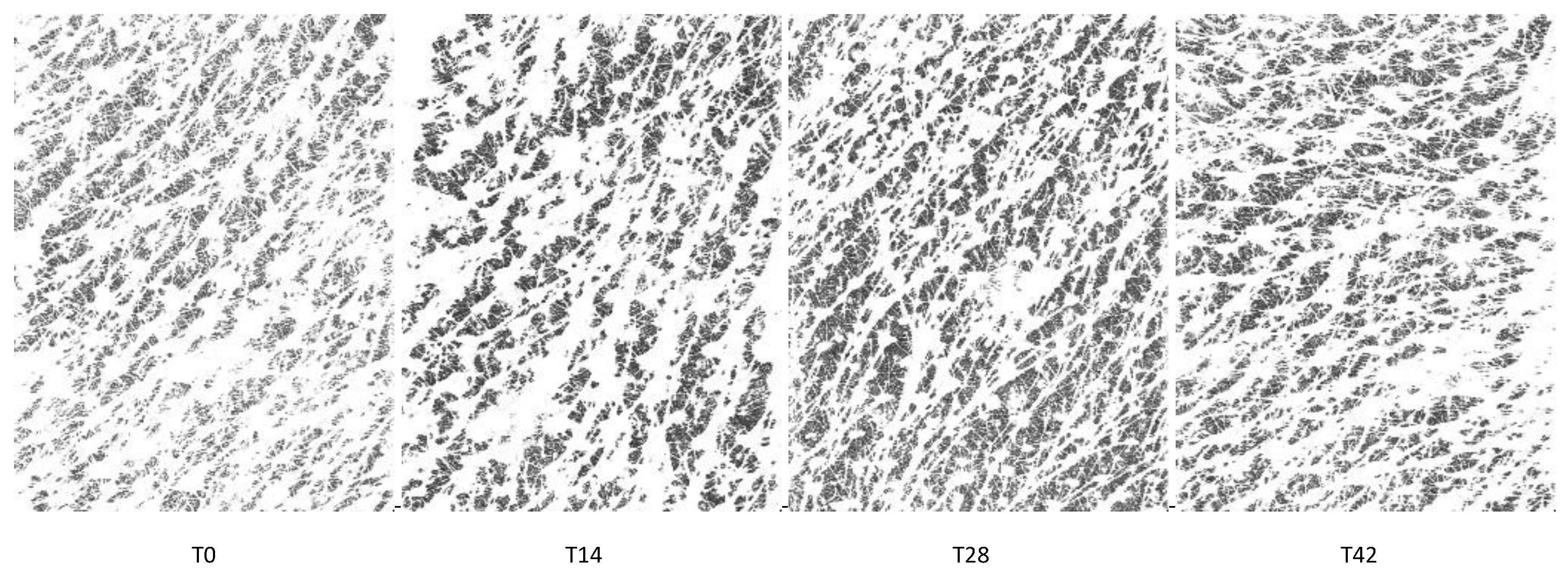 Cosmetics 09 00054 g003