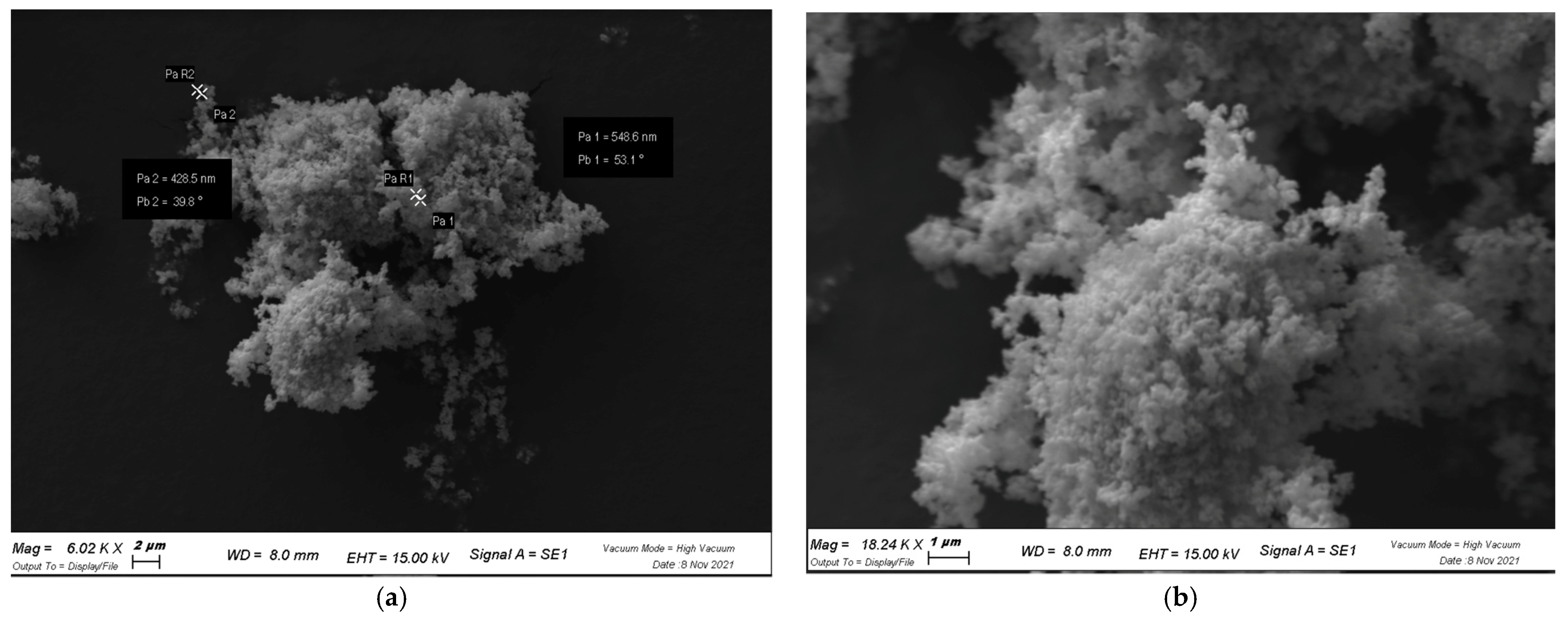 Cosmetics 09 00056 g004