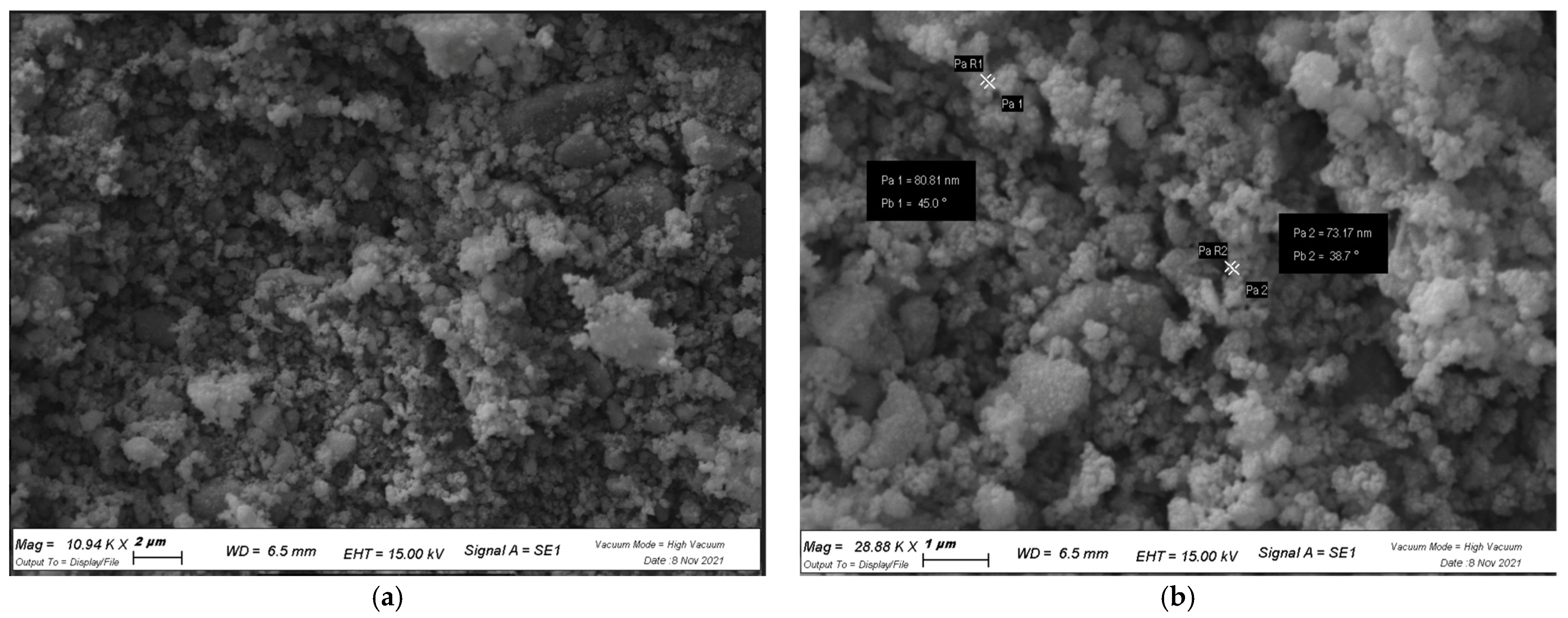 Cosmetics 09 00056 g005