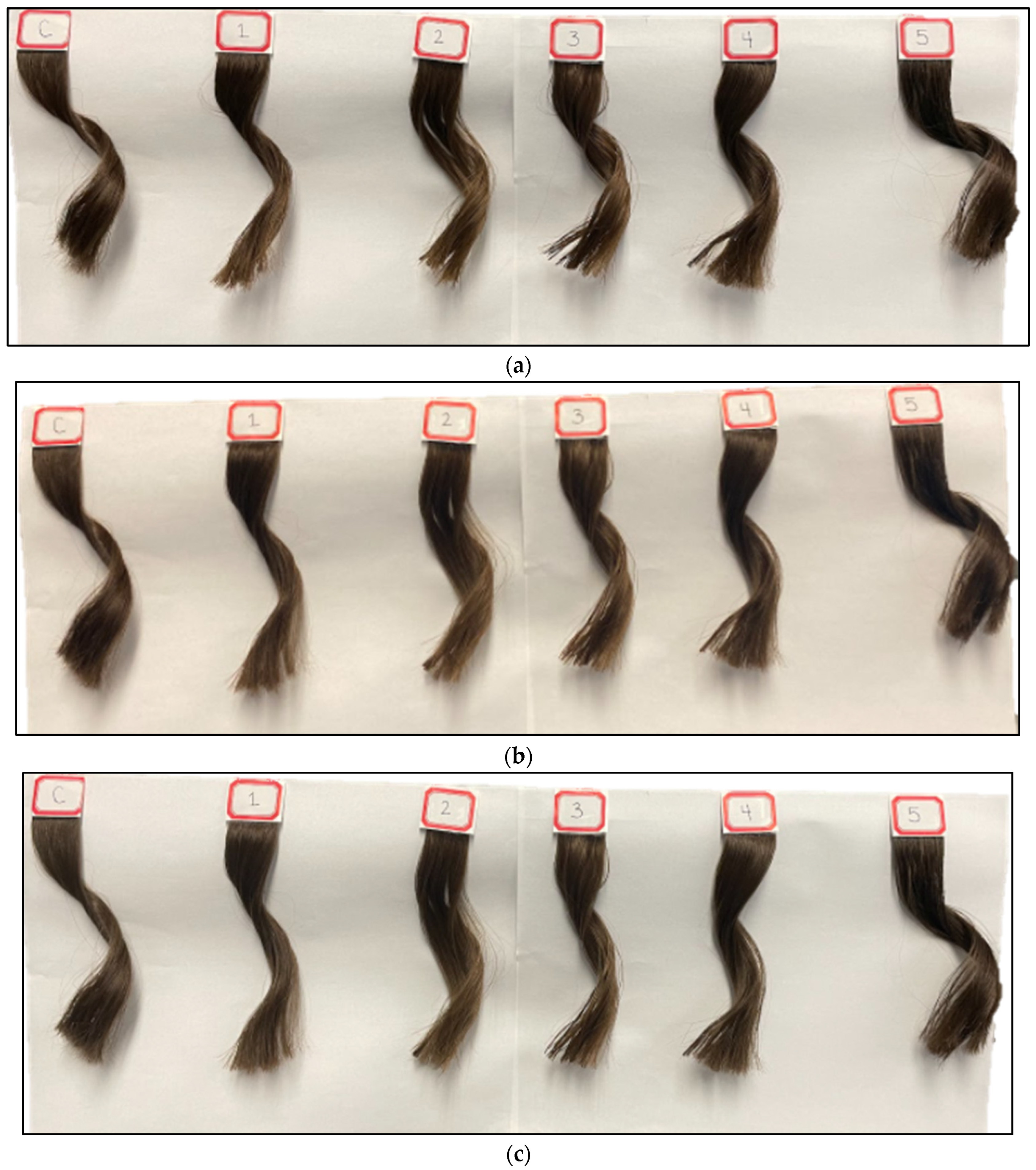 Cosmetics 09 00069 g006