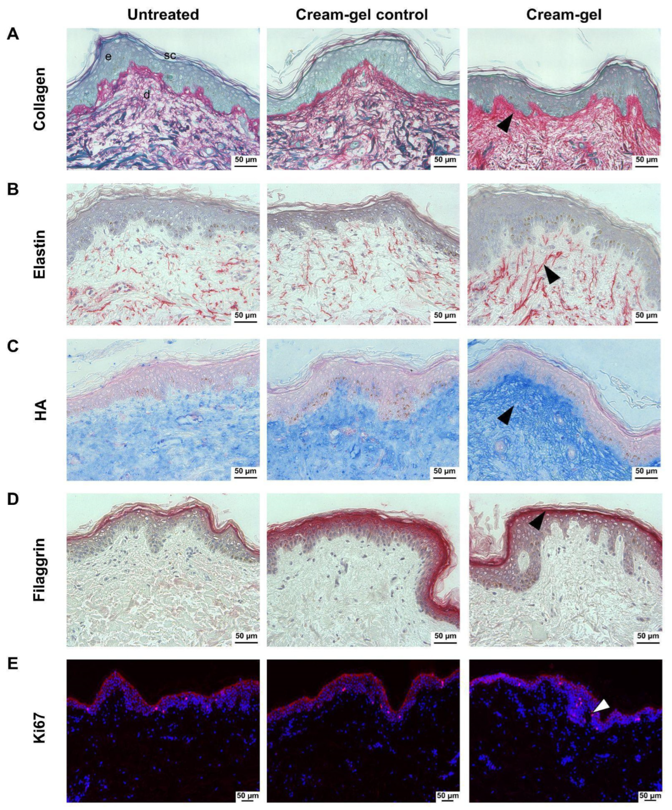 Cosmetics 09 00080 g003