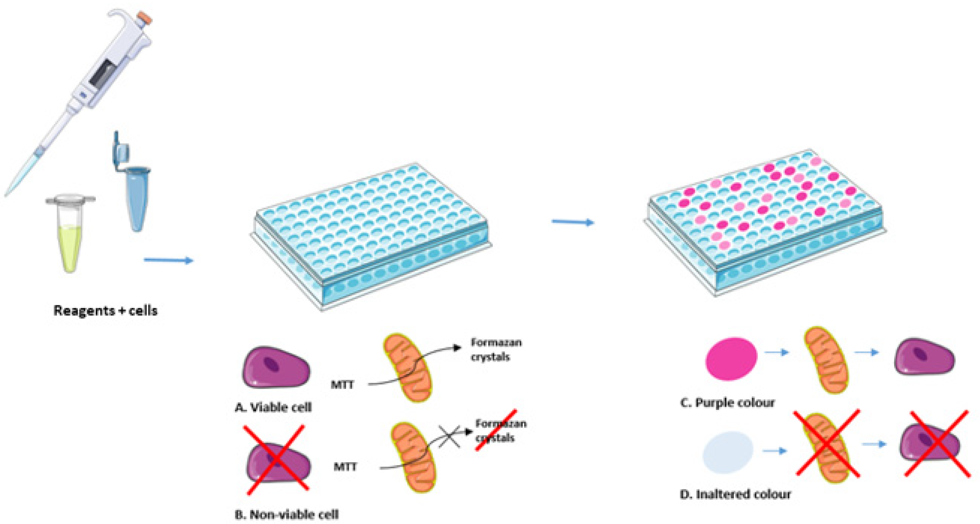Cosmetics 09 00083 g003 Cosmetics 09 00083 g003