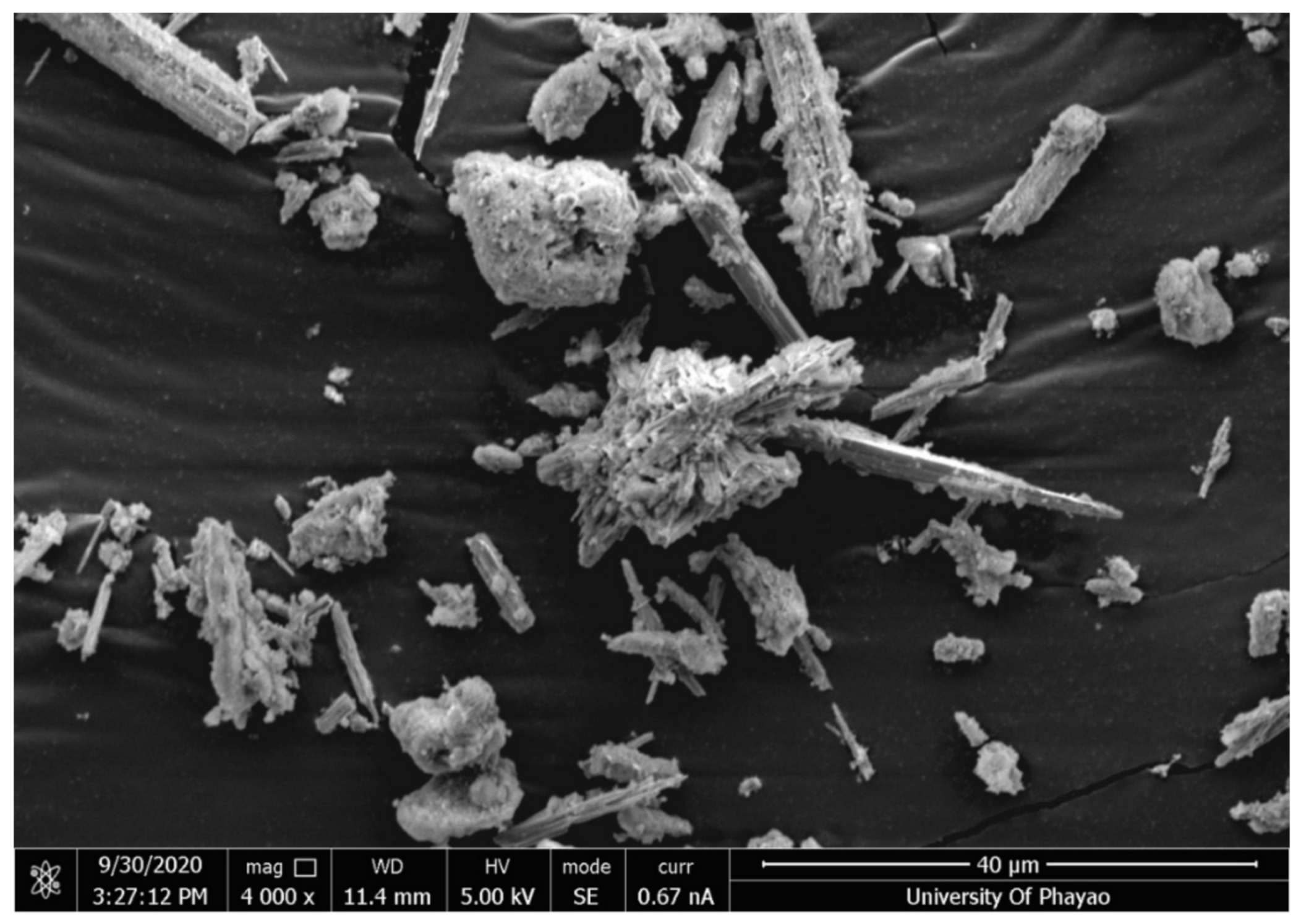 Cosmetics 09 00089 g002 550