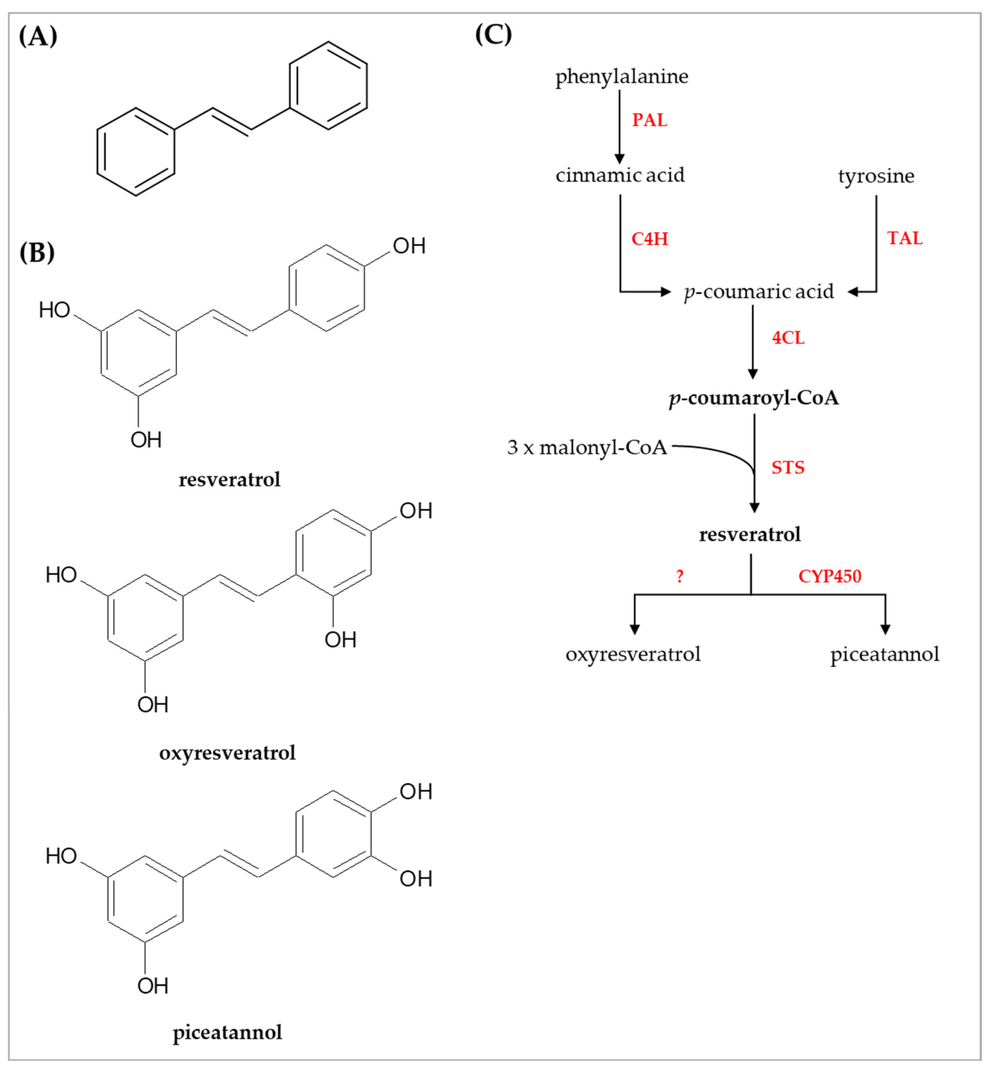 Cosmetics 09 00091 g001