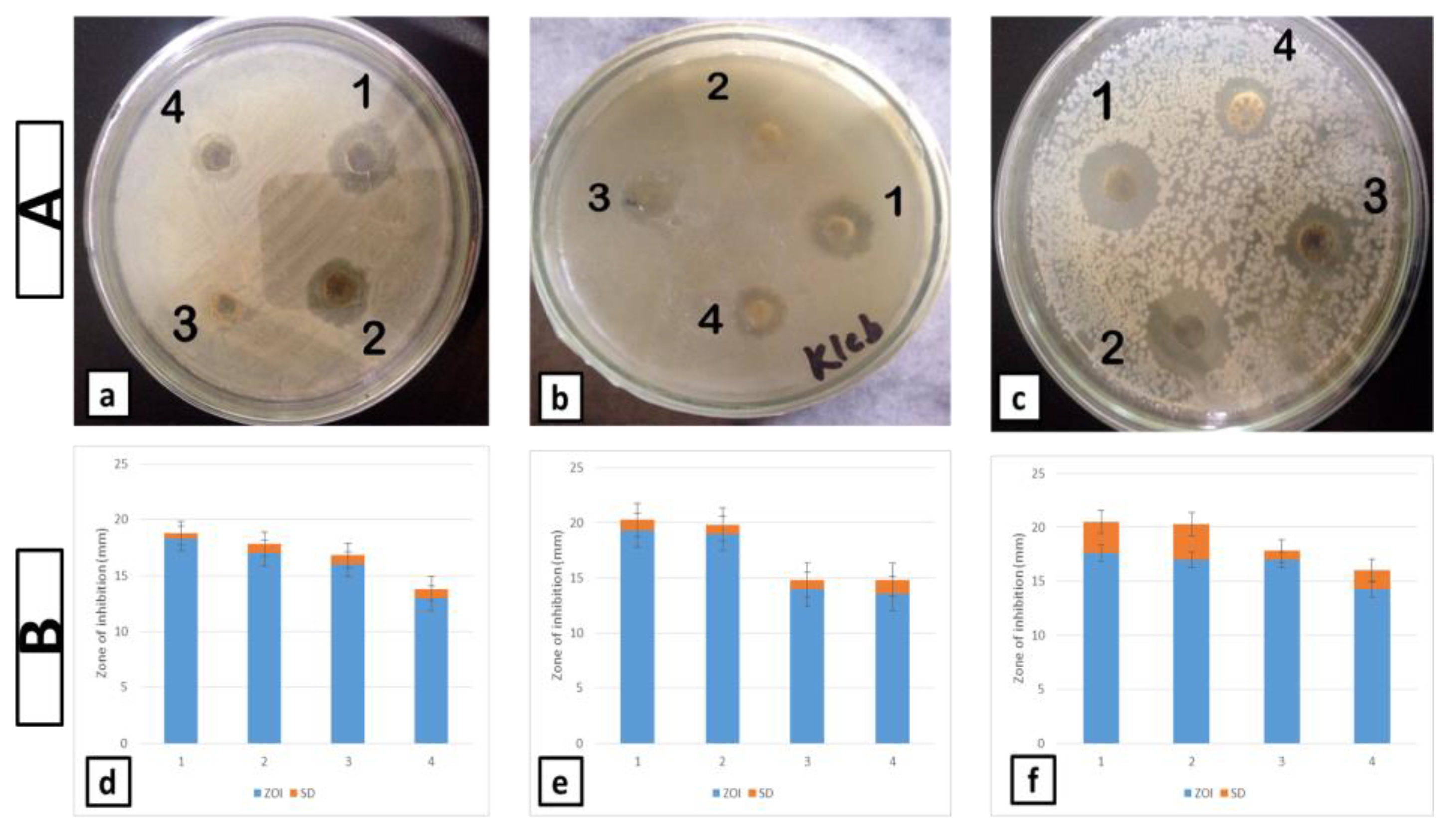 Cosmetics 09 00093 g003 Cosmetics 09 00093 g003