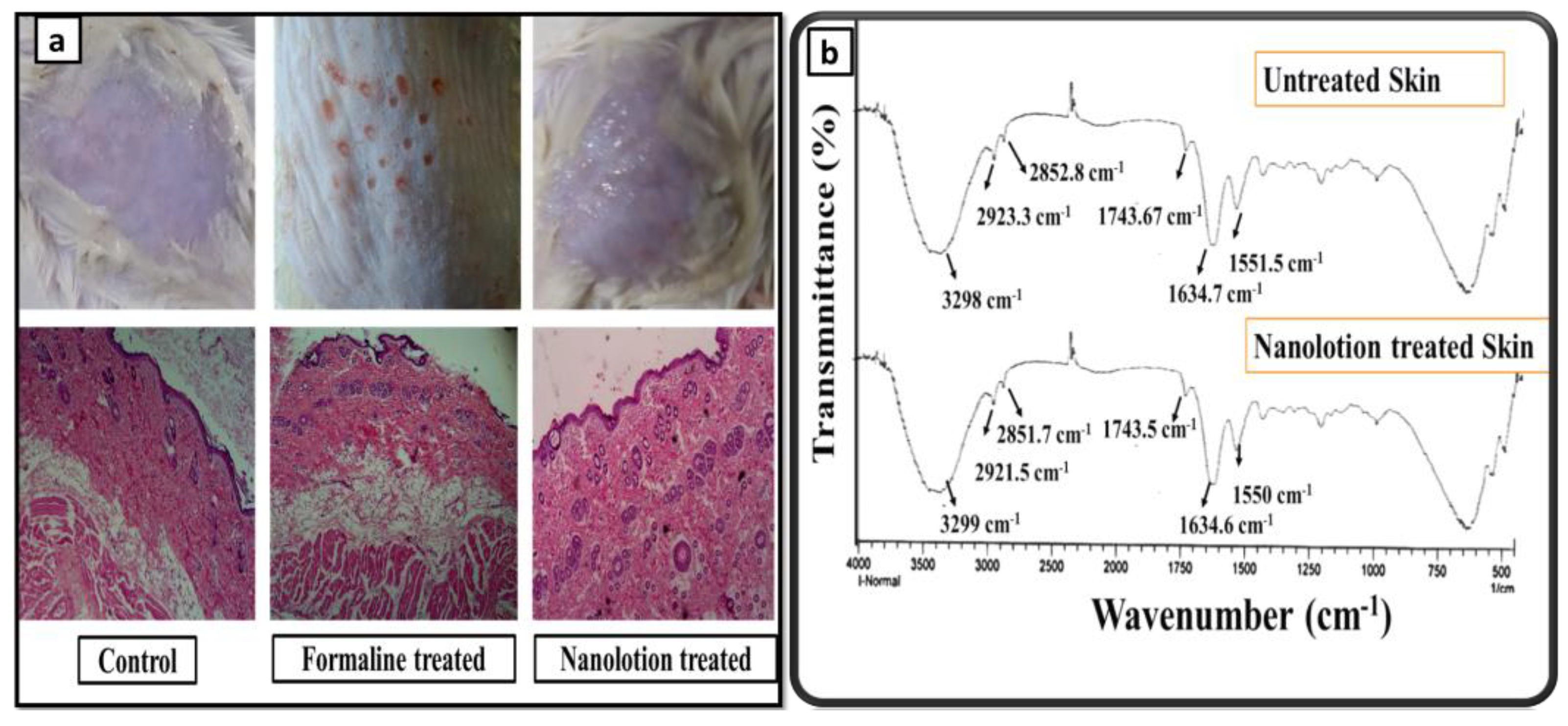 Cosmetics 09 00093 g005 Cosmetics 09 00093 g005