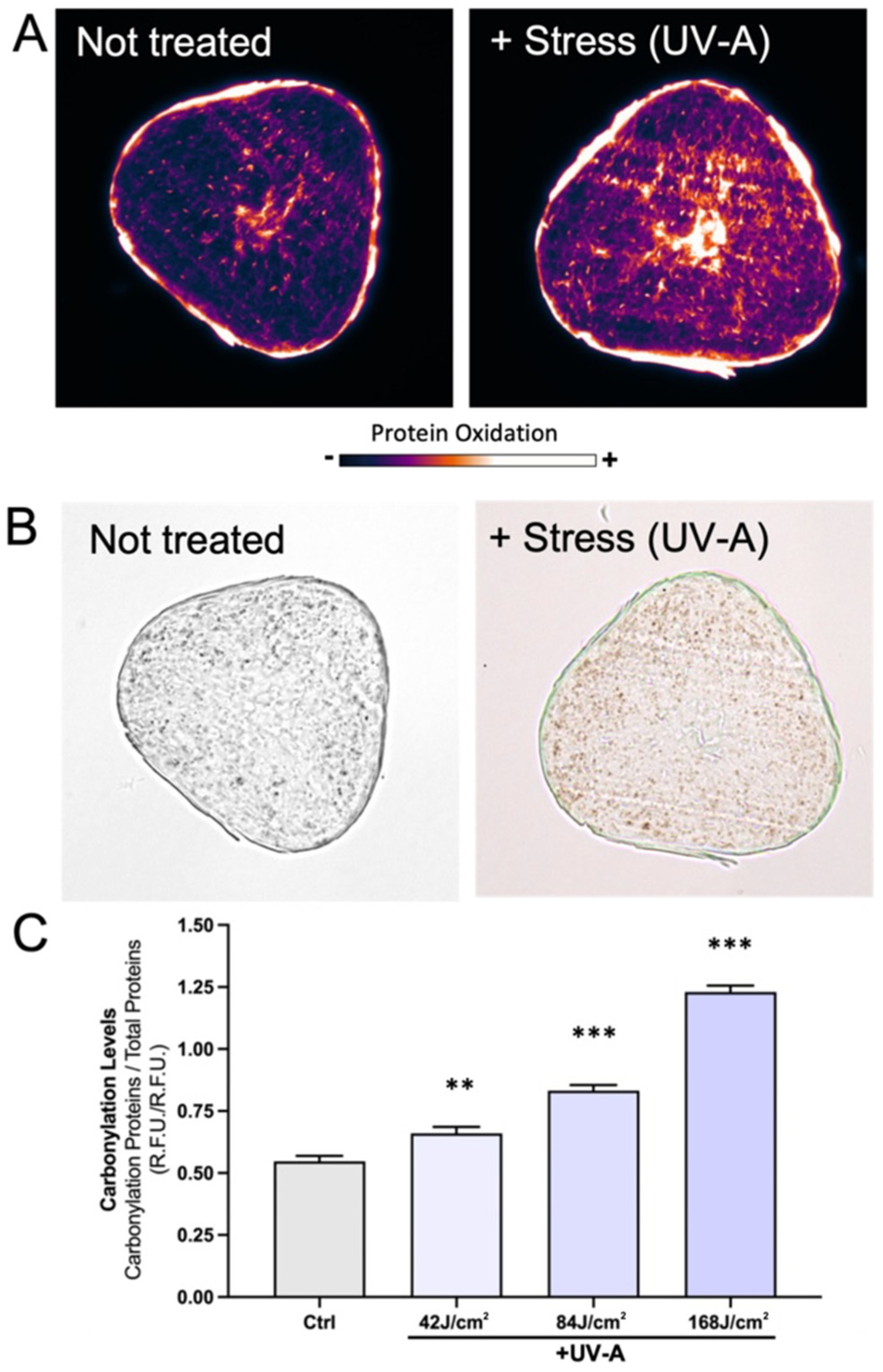 Cosmetics 09 00098 g001