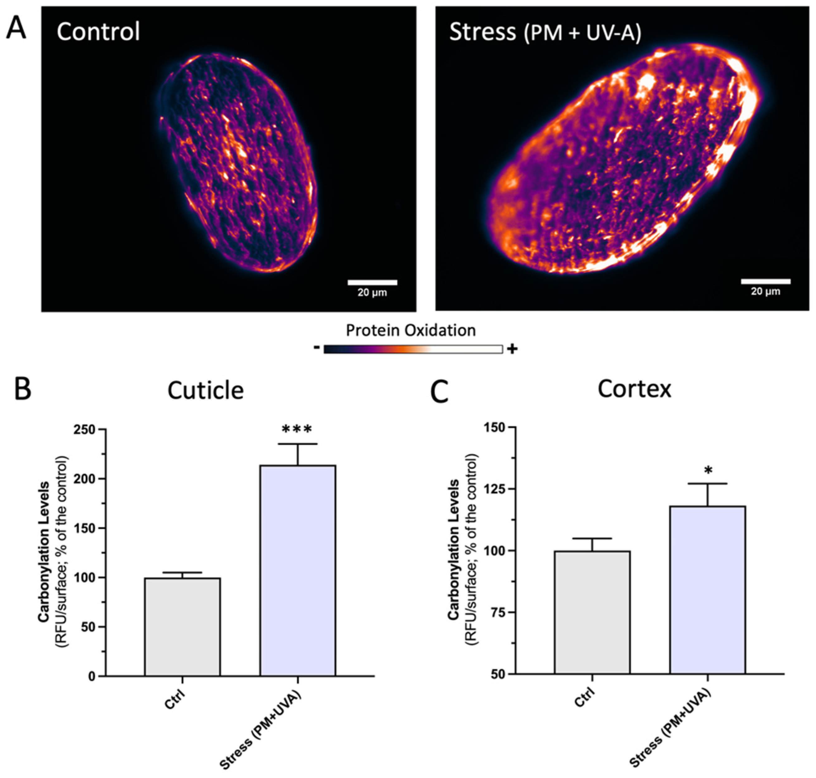 Cosmetics 09 00098 g003