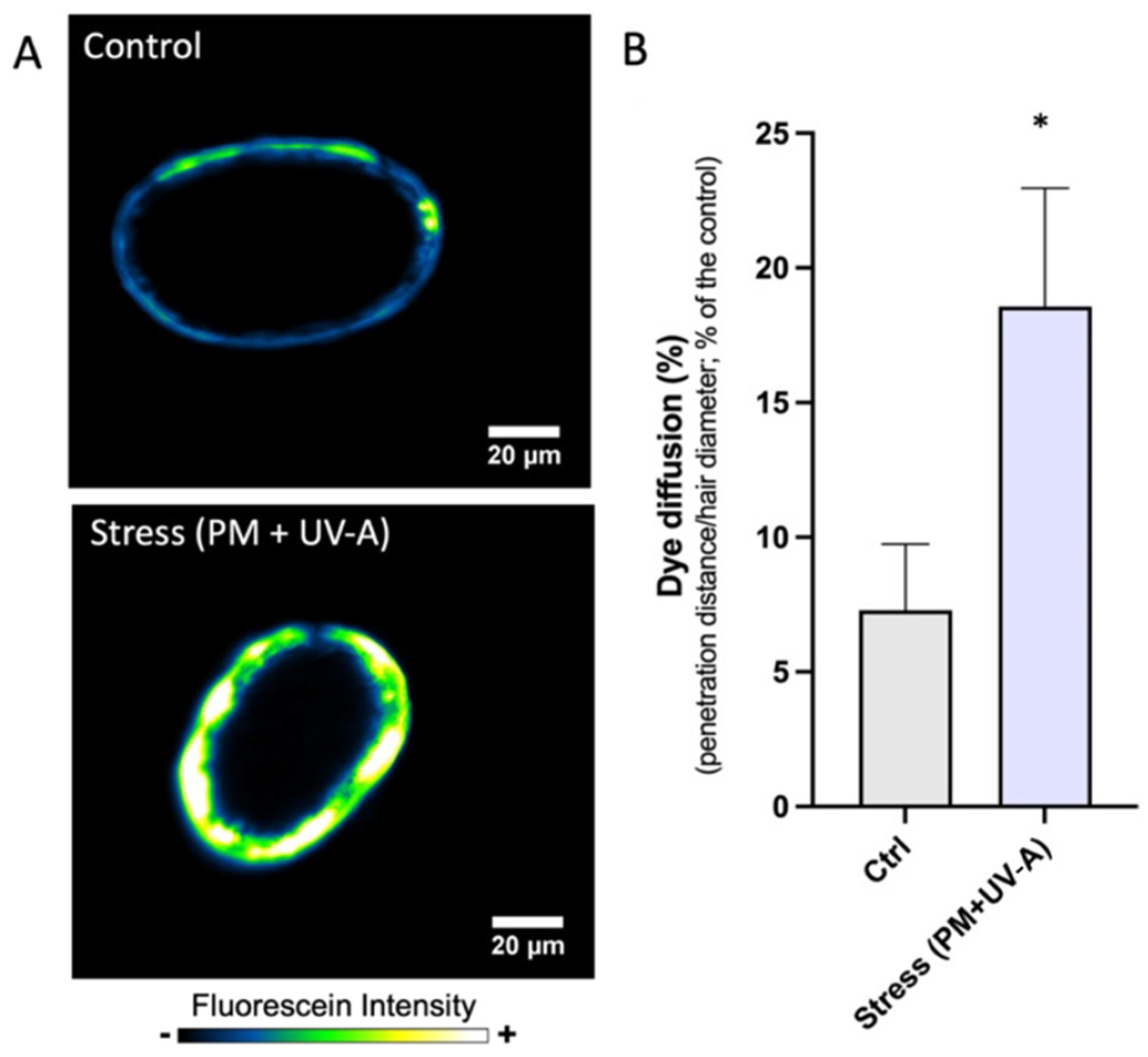Cosmetics 09 00098 g004