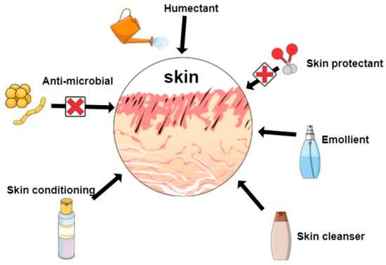 Chitosan for skin