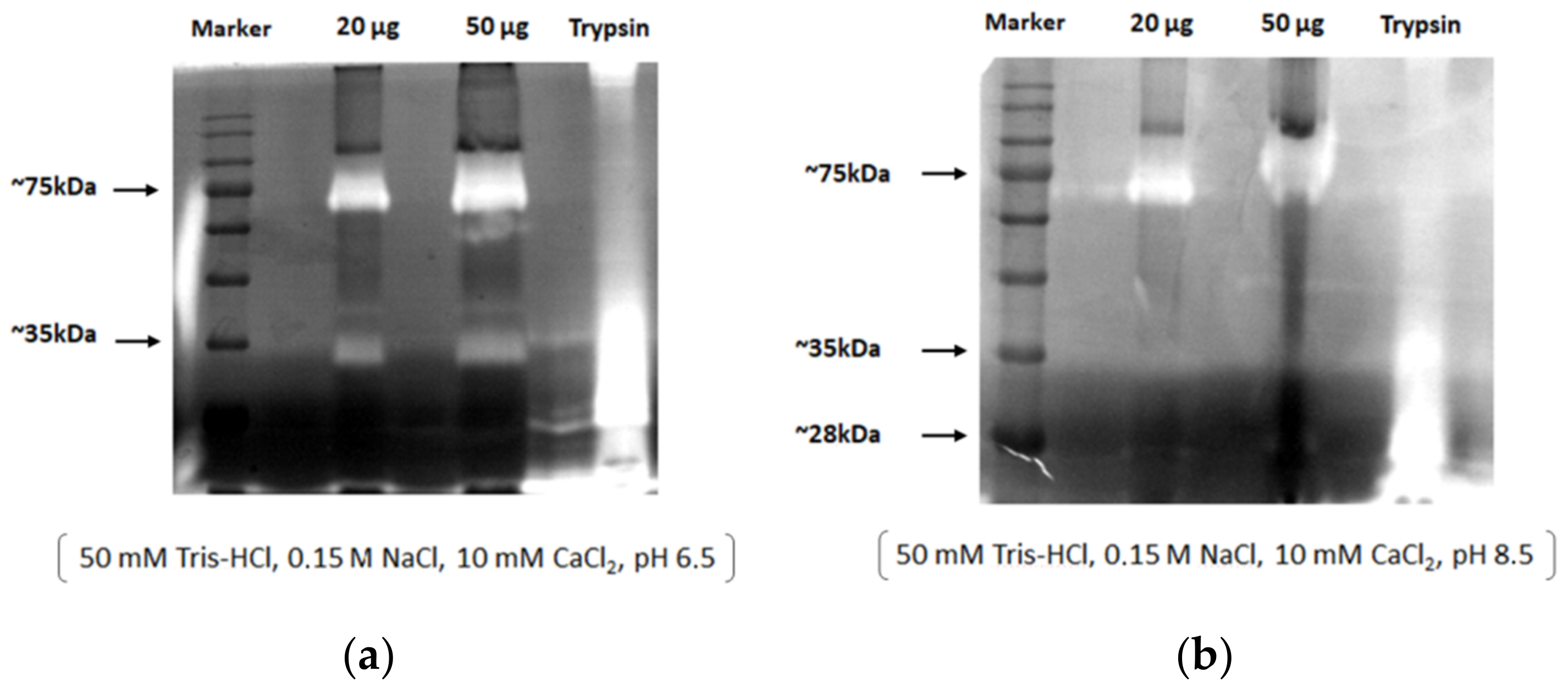 Cosmetics 09 00106 g002 Cosmetics 09 00106 g002