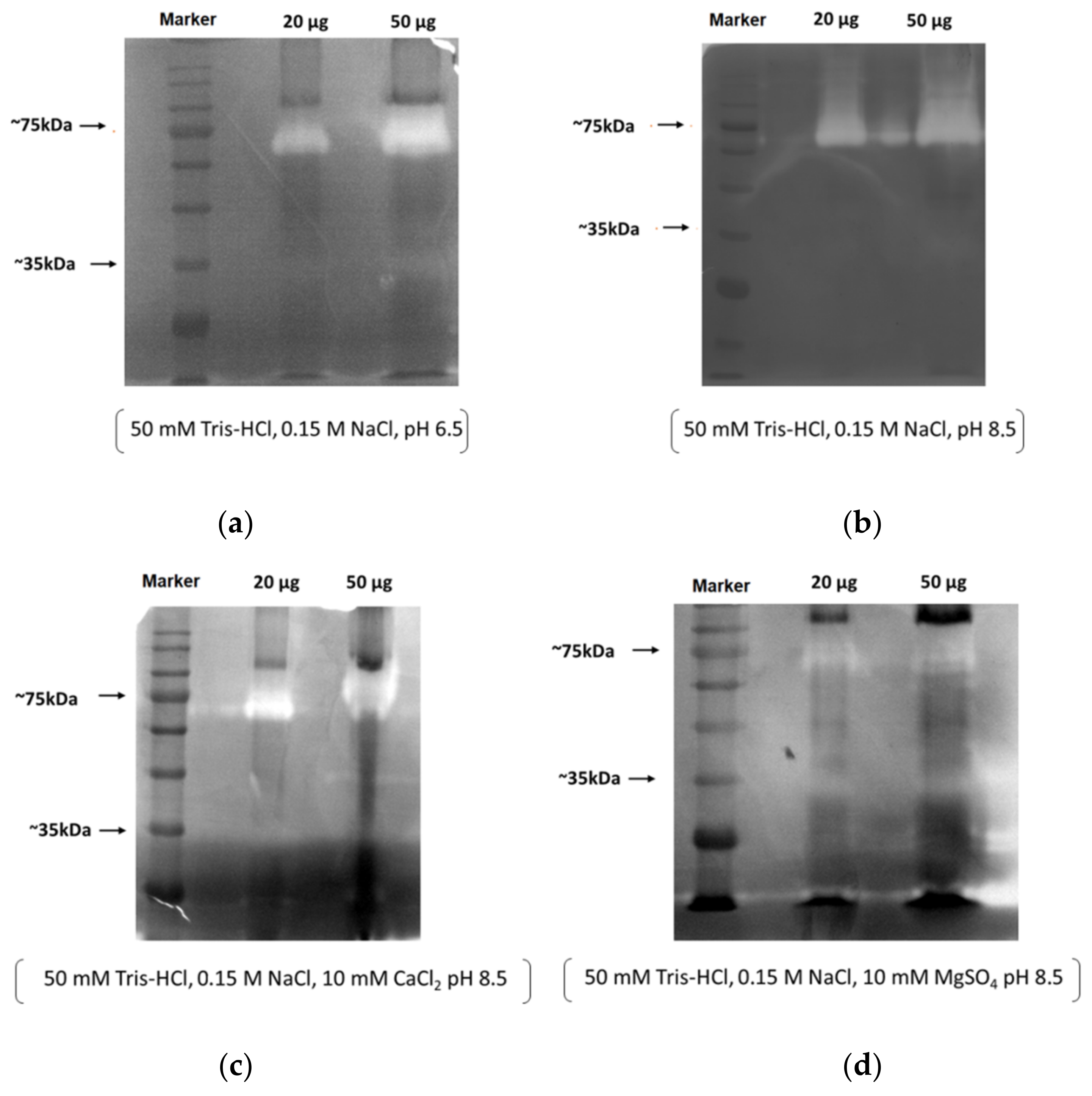 Cosmetics 09 00106 g004 Cosmetics 09 00106 g004