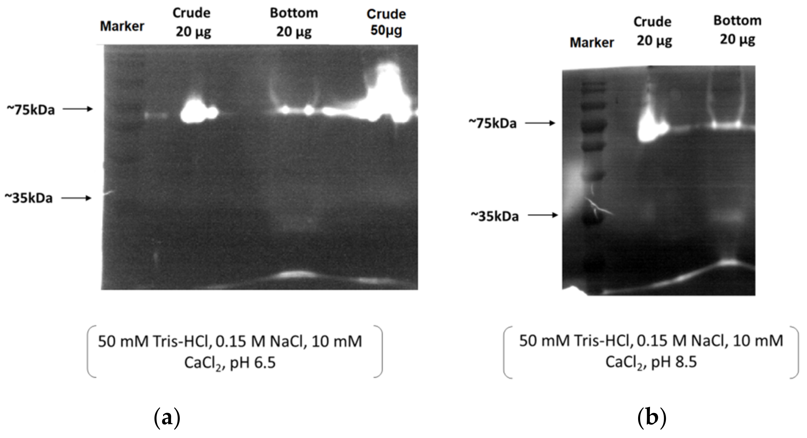 Cosmetics 09 00106 g006 Cosmetics 09 00106 g006