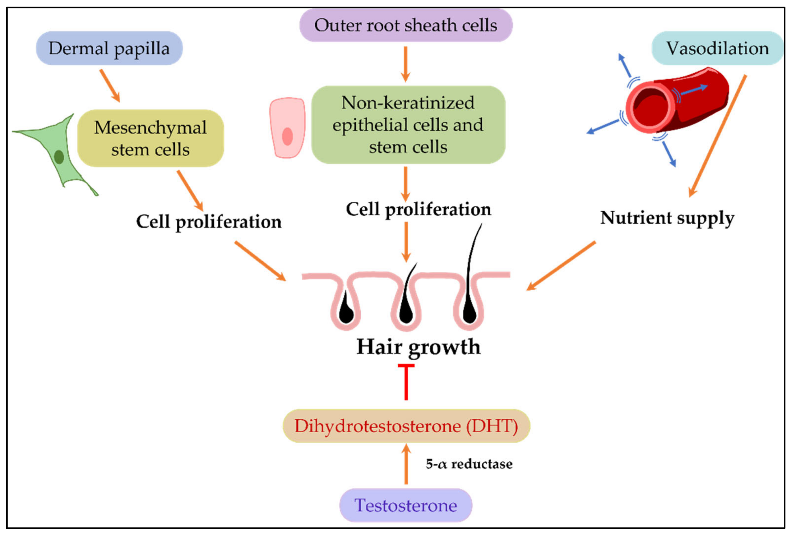 Cosmetics 09 00107 g002 Cosmetics 09 00107 g002