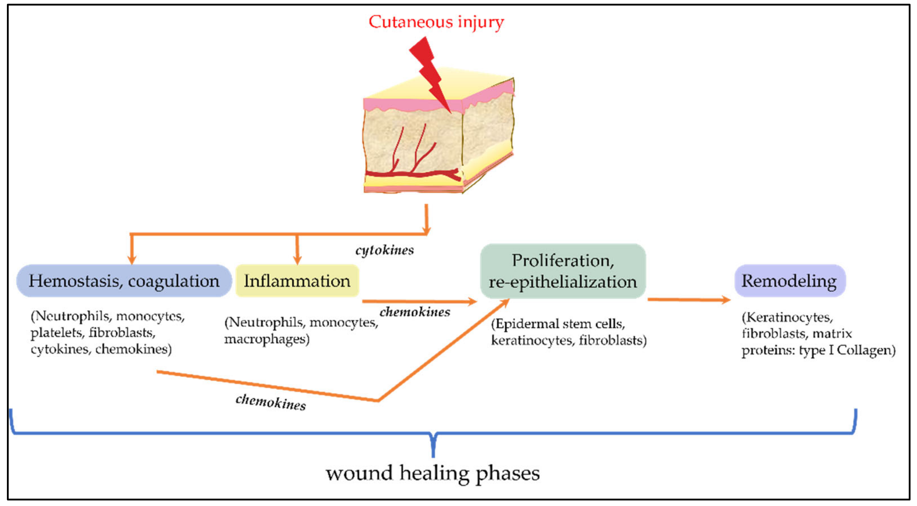 Cosmetics 09 00107 g004 Cosmetics 09 00107 g004