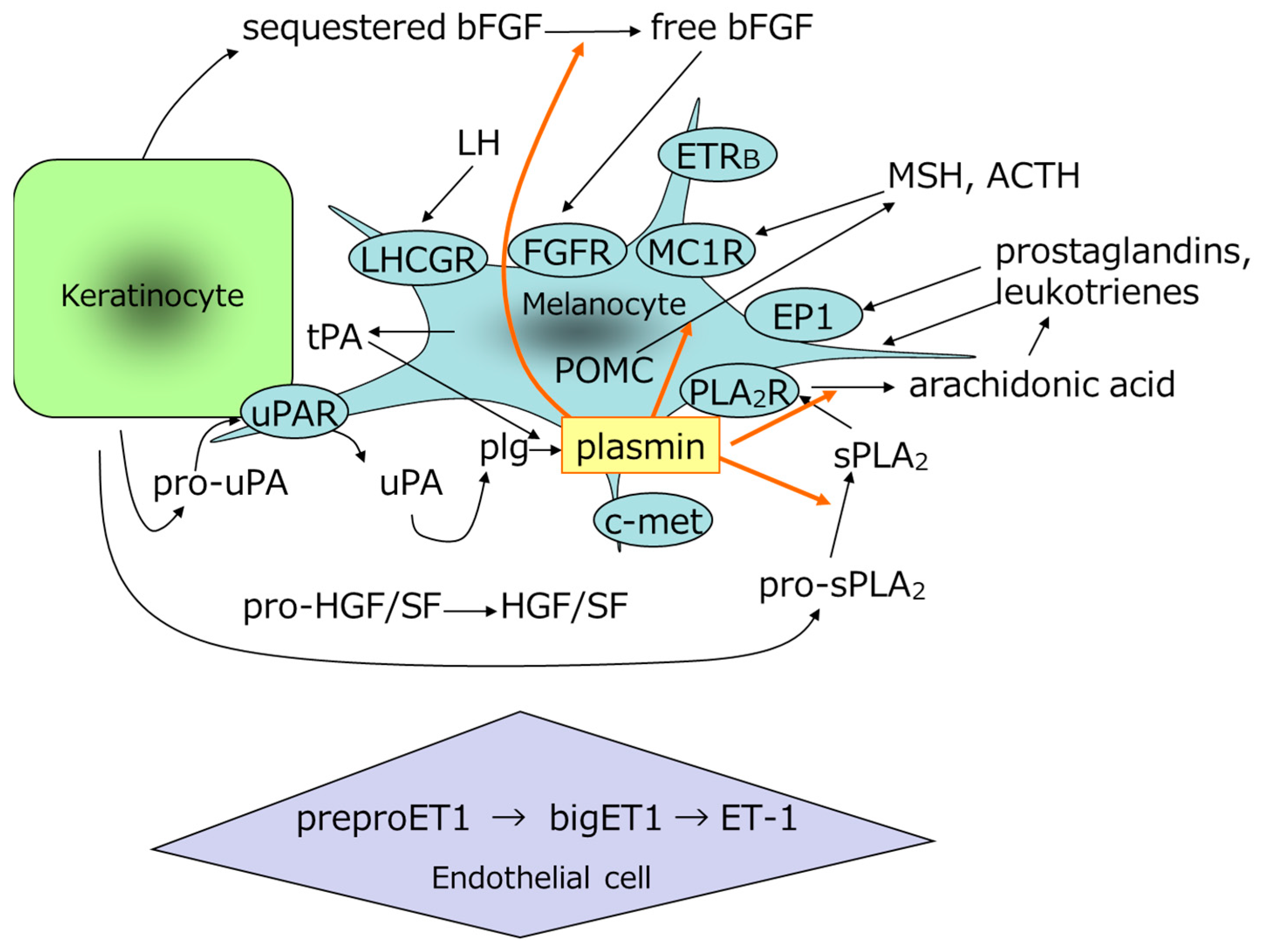 Cosmetics 09 00108 g004 Cosmetics 09 00108 g004
