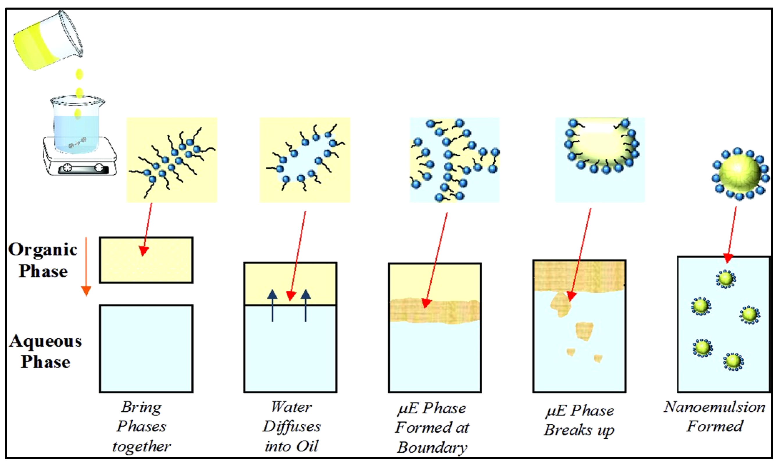 Cosmetics 09 00110 g005