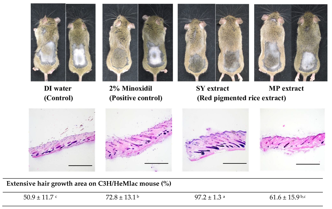 Cosmetics 09 00111 g003