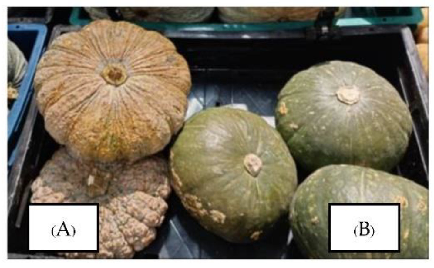 Cosmetics 09 00113 g001 Cosmetics 09 00113 g001