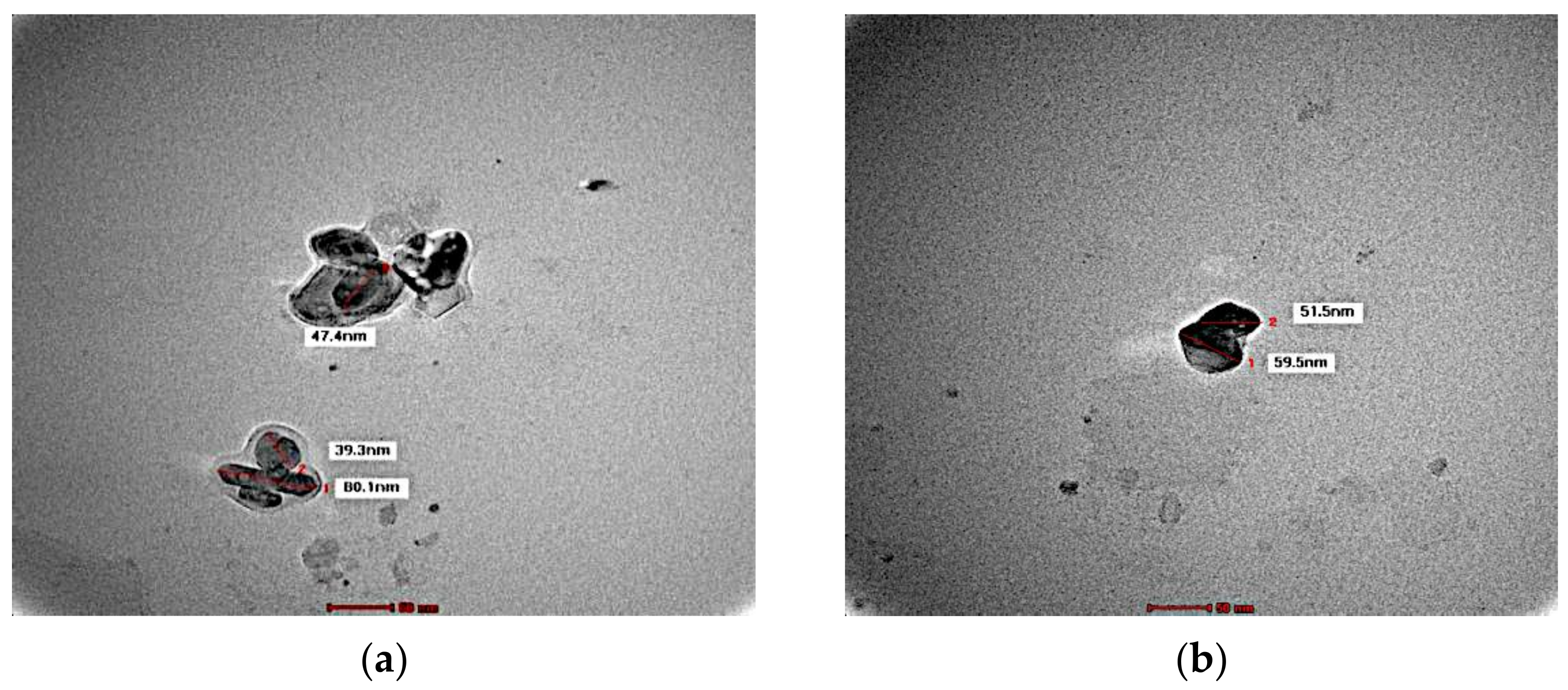 Cosmetics 09 00114 g004a Cosmetics 09 00114 g004a