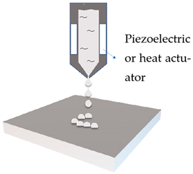 Cosmetics 09 00115 i001 Cosmetics 09 00115 i001