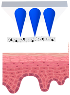 Cosmetics 09 00115 i004 Cosmetics 09 00115 i004