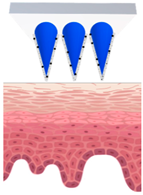 Cosmetics 09 00115 i005 Cosmetics 09 00115 i005