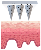 Cosmetics 09 00115 i006 Cosmetics 09 00115 i006