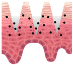 Cosmetics 09 00115 i009 Cosmetics 09 00115 i009