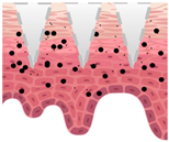 Cosmetics 09 00115 i011 Cosmetics 09 00115 i011