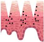 Cosmetics 09 00115 i012 Cosmetics 09 00115 i012