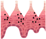 Cosmetics 09 00115 i013 Cosmetics 09 00115 i013