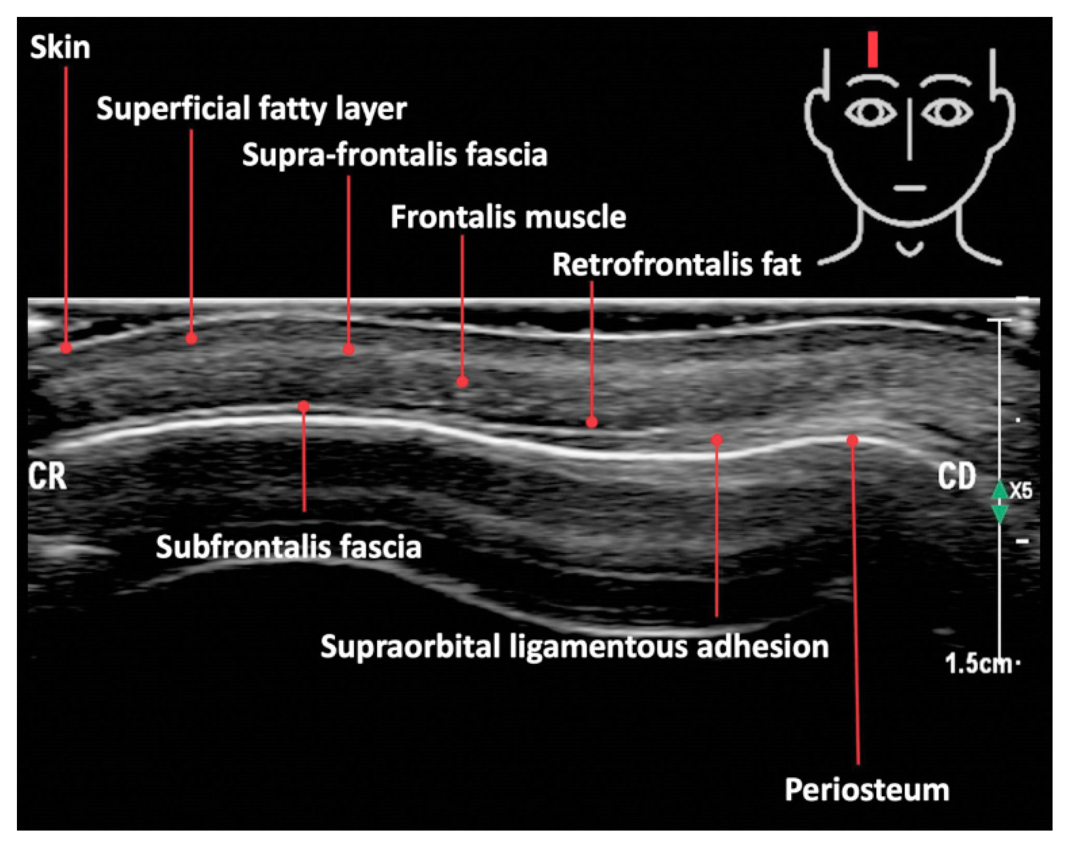 Cosmetics 09 00116 g004 Cosmetics 09 00116 g004