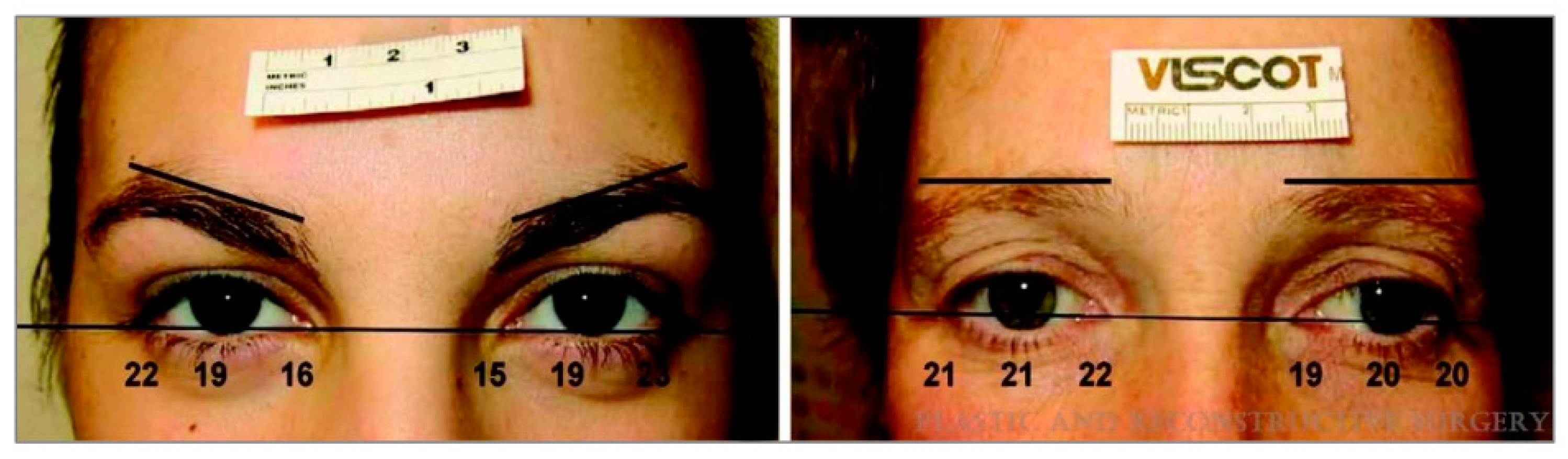 Cosmetics 09 00116 g005 Cosmetics 09 00116 g005