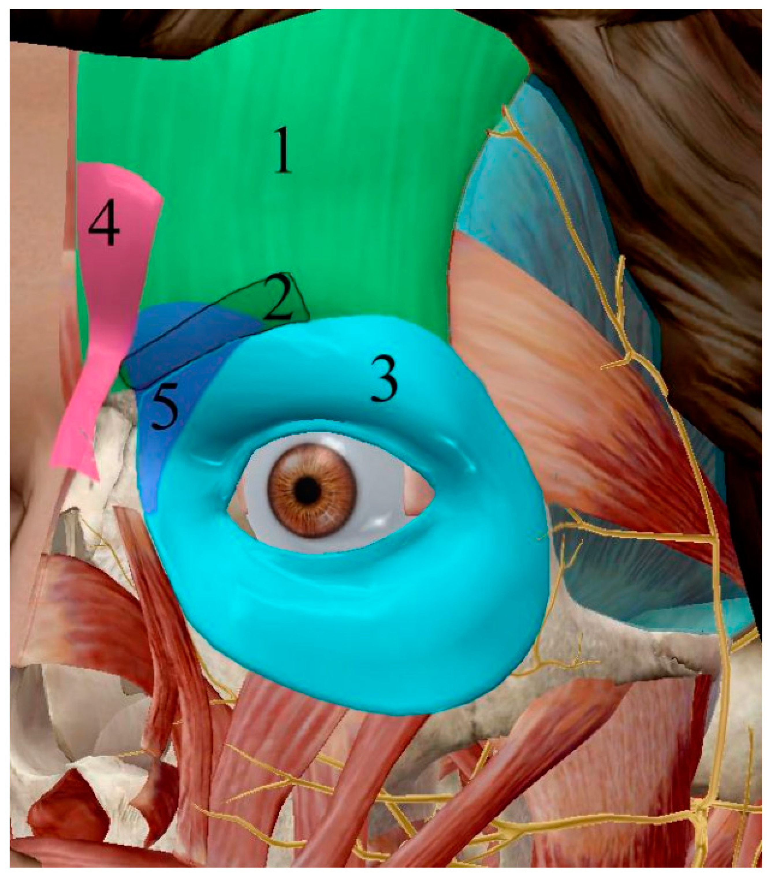 Cosmetics 09 00116 g010 Cosmetics 09 00116 g010