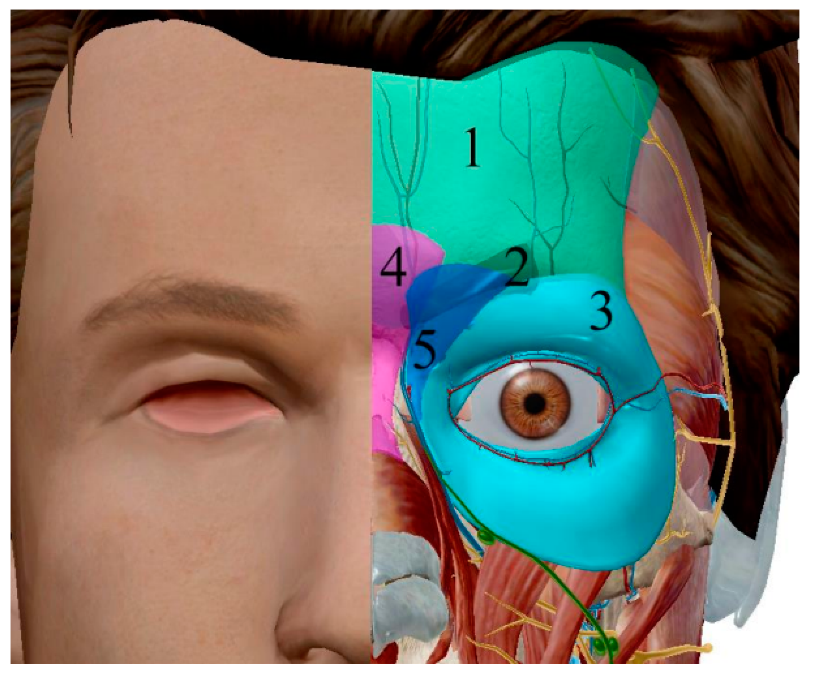 Cosmetics 09 00116 g011 Cosmetics 09 00116 g011