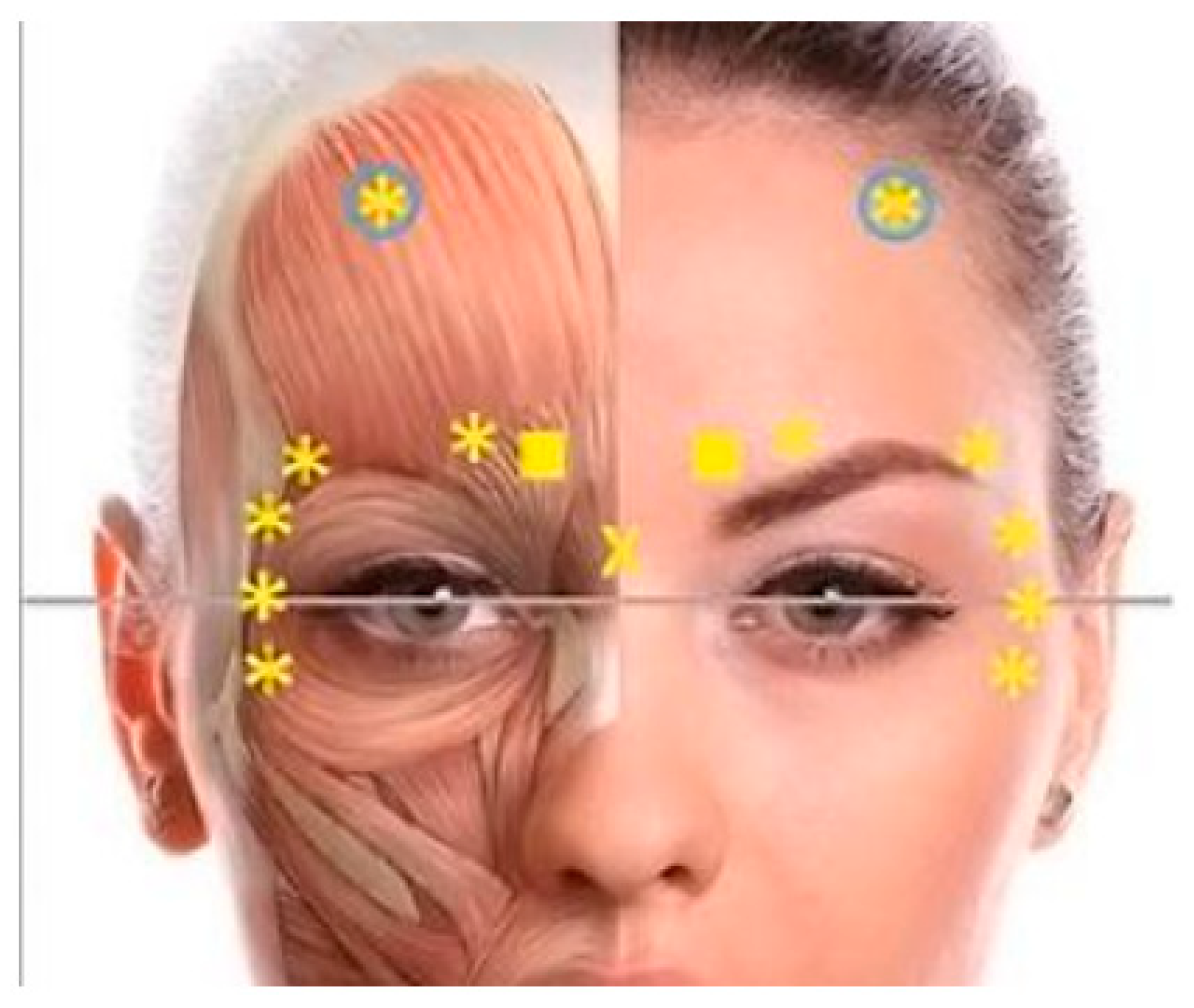 Cosmetics 09 00116 g012 Cosmetics 09 00116 g012