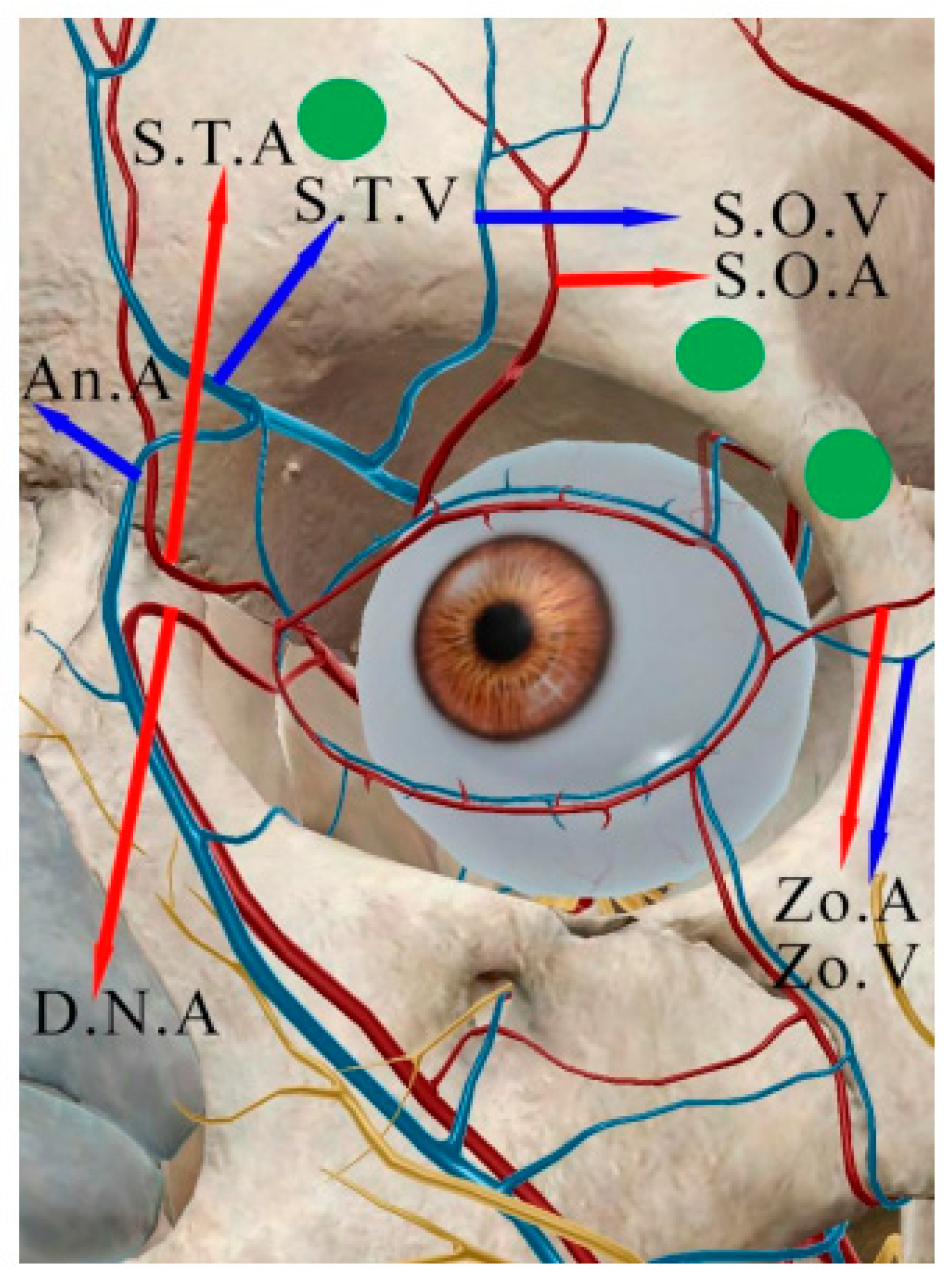 Cosmetics 09 00116 g013 Cosmetics 09 00116 g013