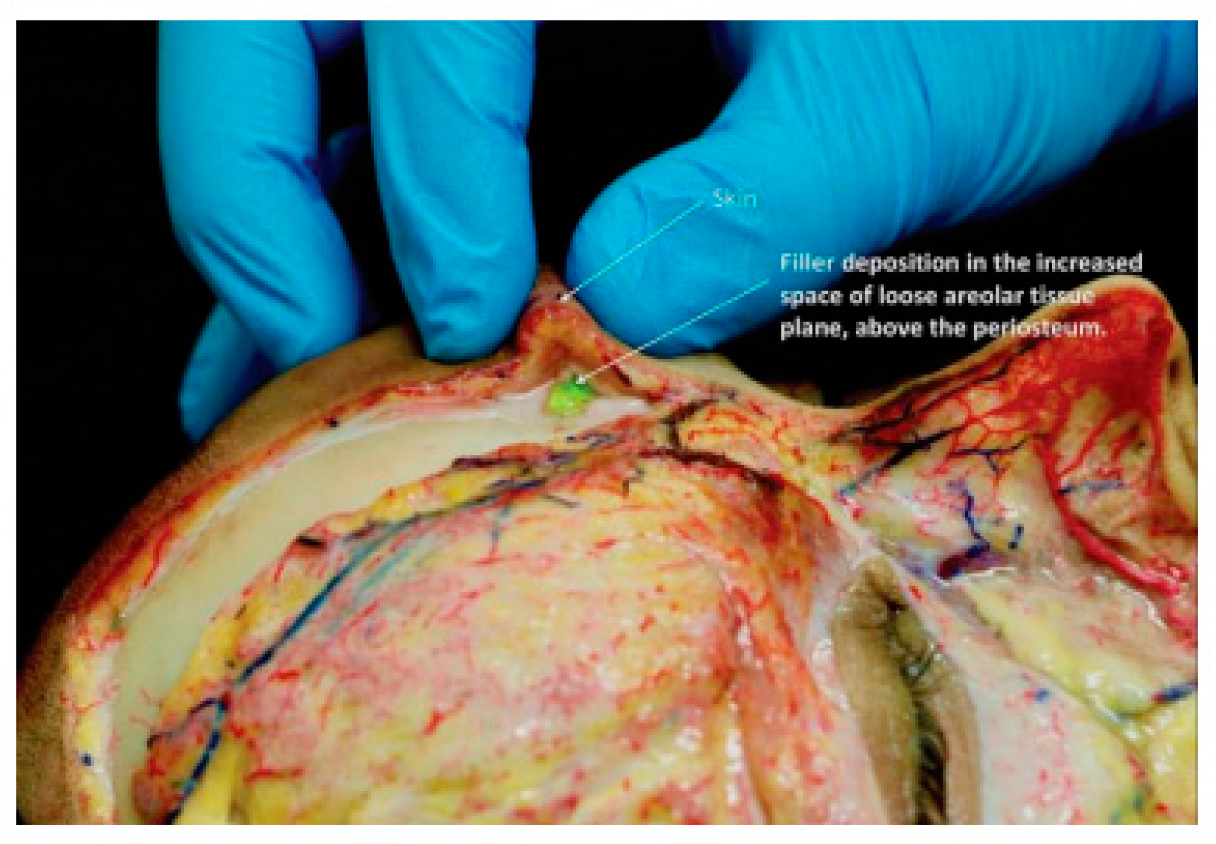 Cosmetics 09 00116 g017 Cosmetics 09 00116 g017